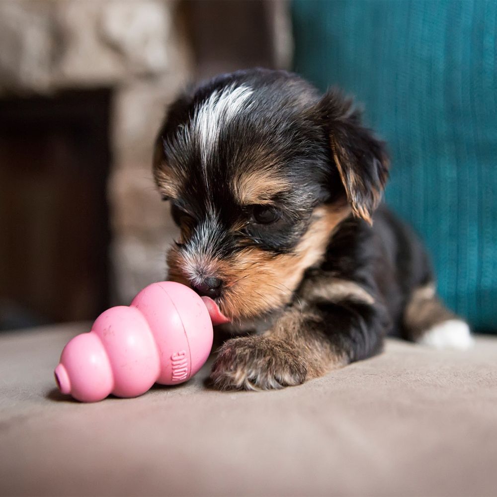 KONG® Puppy - Image 6