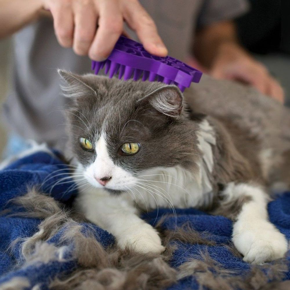 KONG Cat ZoomGroom - Image 4