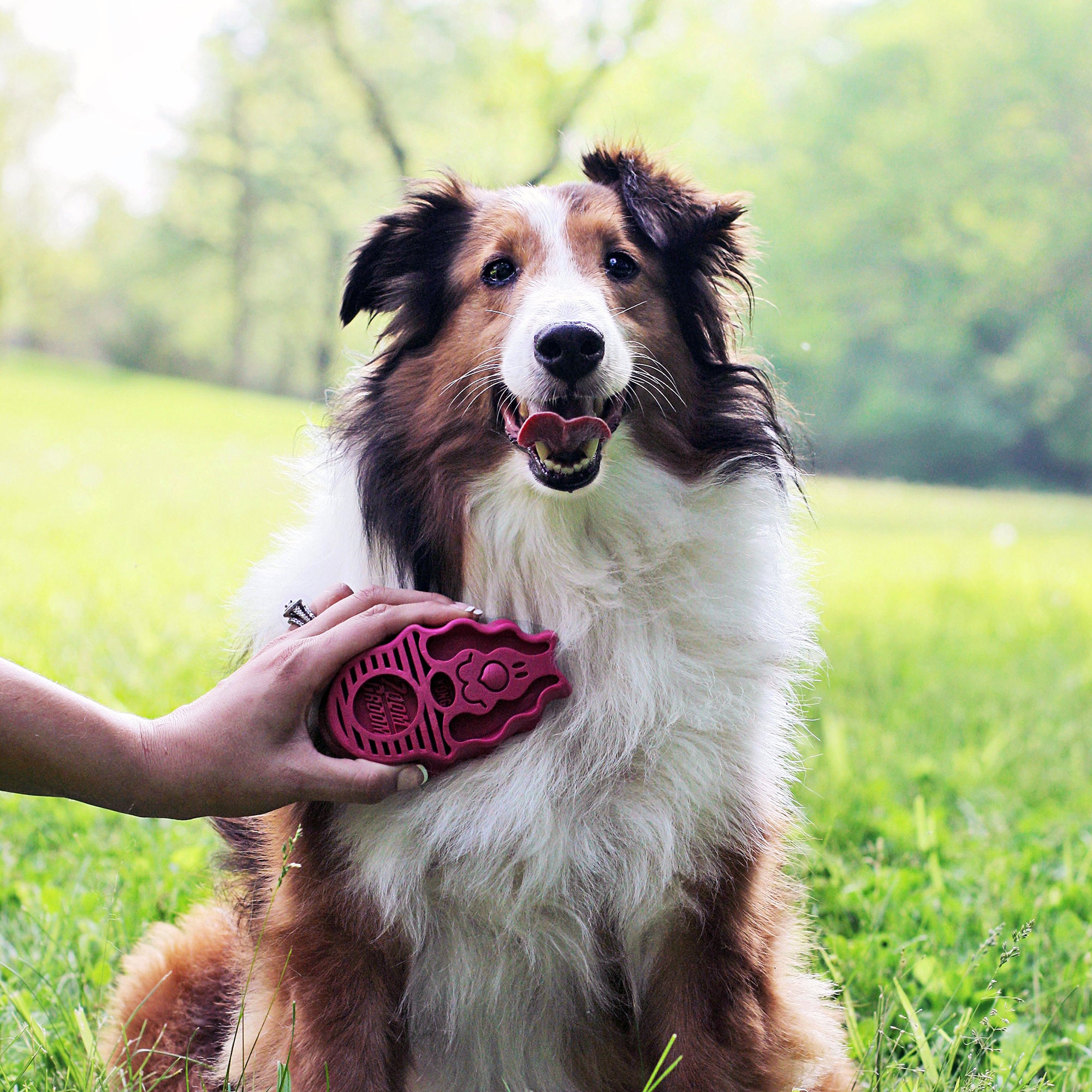 KONG Zoomgroom Raspberry