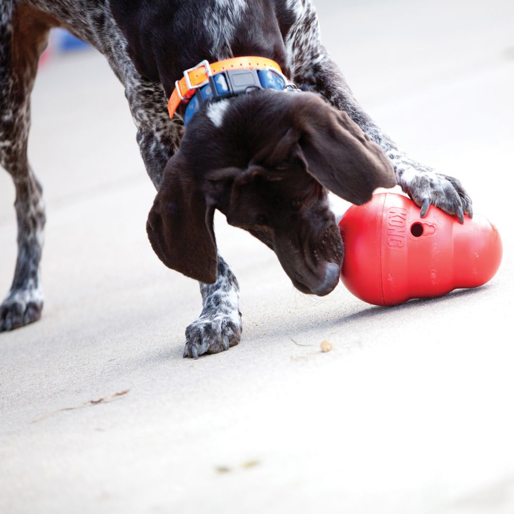 KONG Wobbler - Image 3