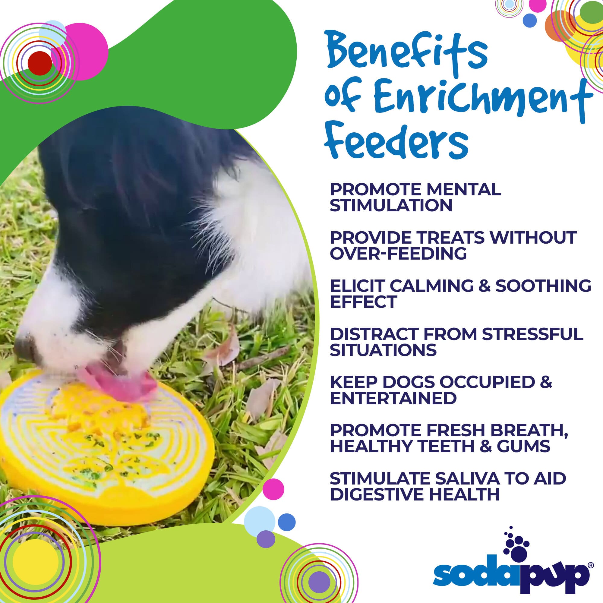 SodaPup Earth eCoin Nylon Lick Mat Dogs | USA Made Enrichment Toy