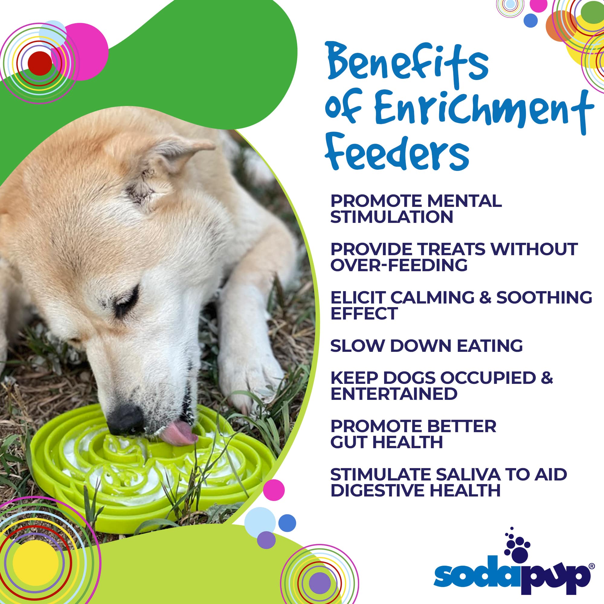SodaPup Water Frog eTray Shallow Slow Feeder Dog Bowl Enrichment | USA Made