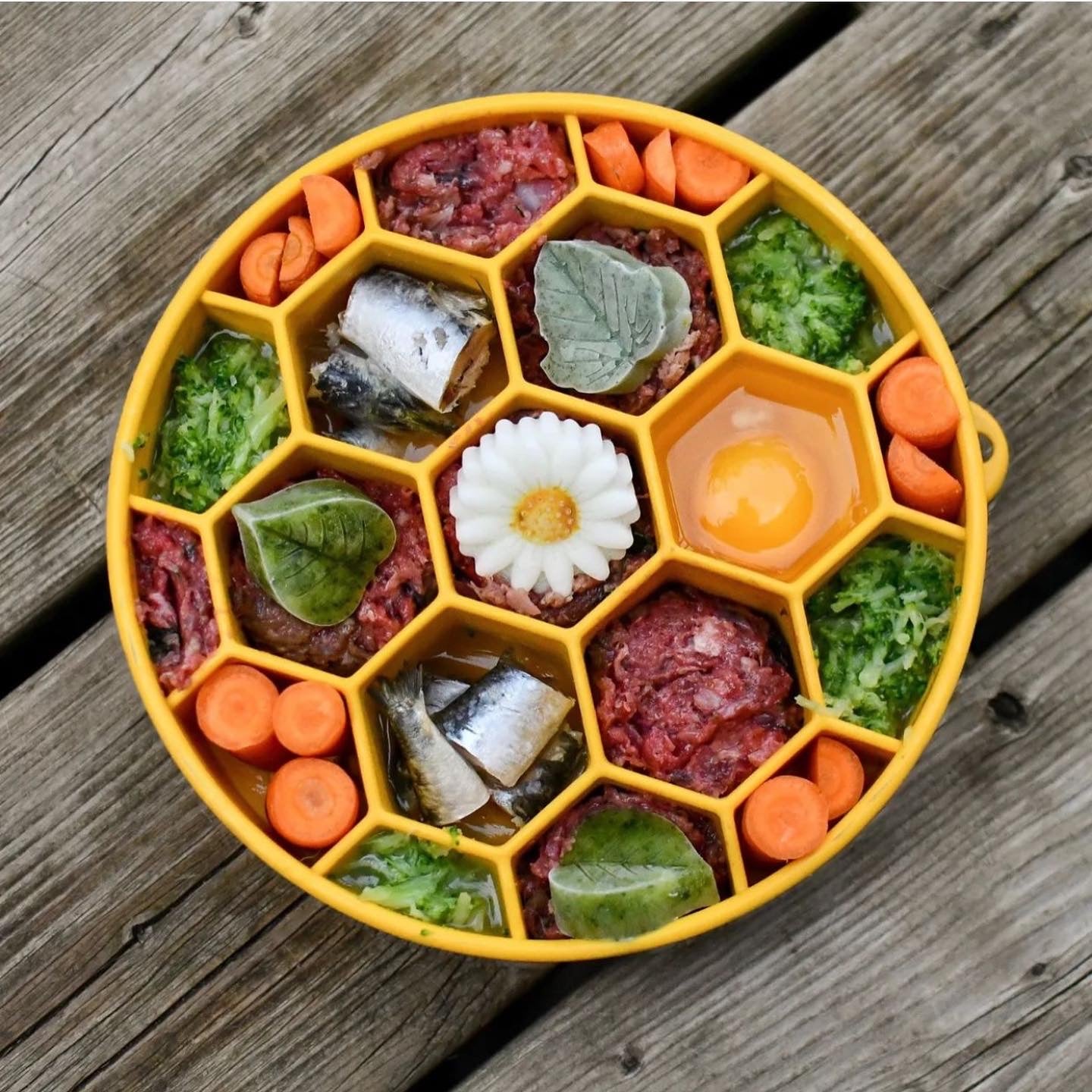 Honeycomb eBowl Deep Slow Feeder Dog Bowl for Enrichment | USA Made - Image 8