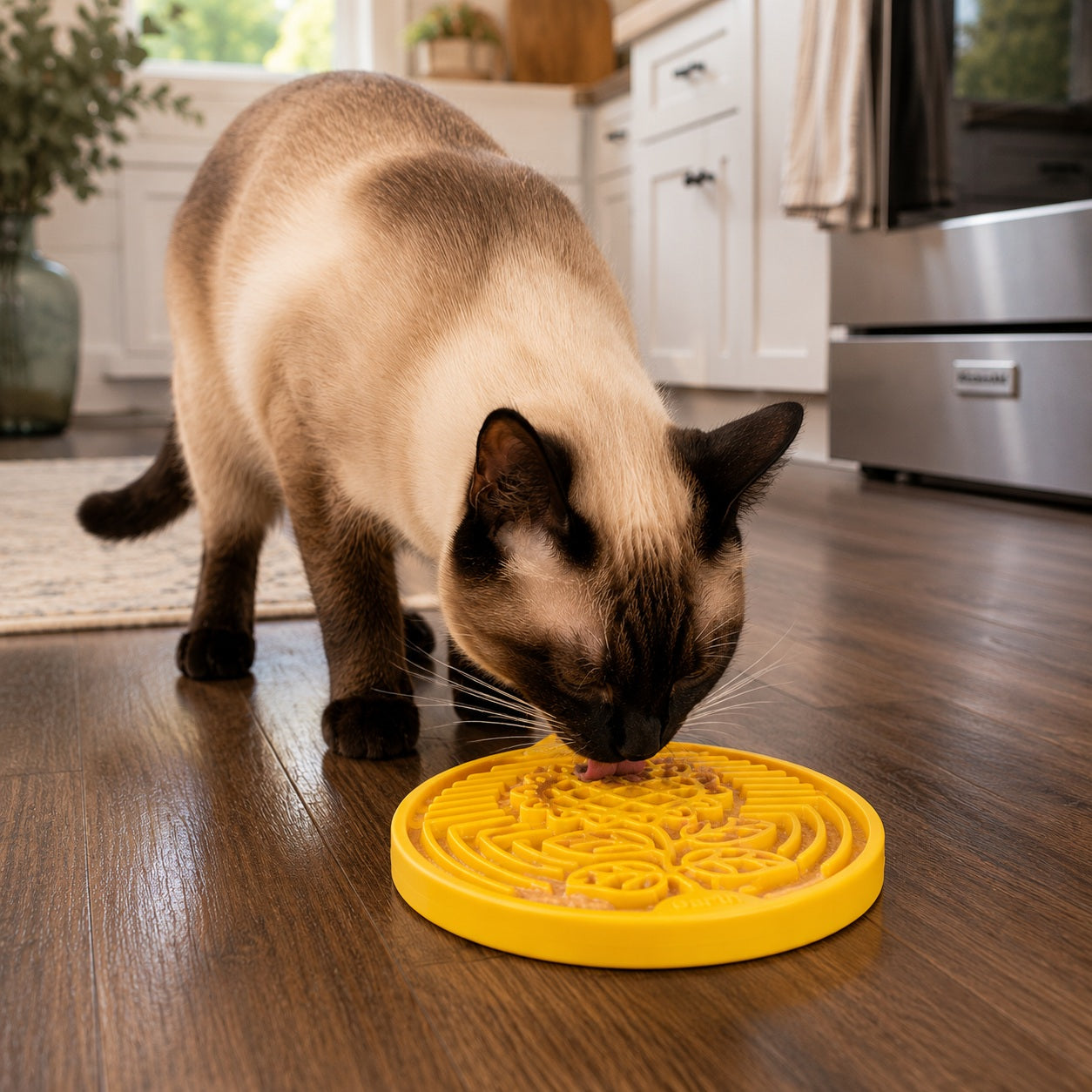 SodaPup Earth eCoin Nylon Lick Mat Dogs | USA Made Enrichment Toy