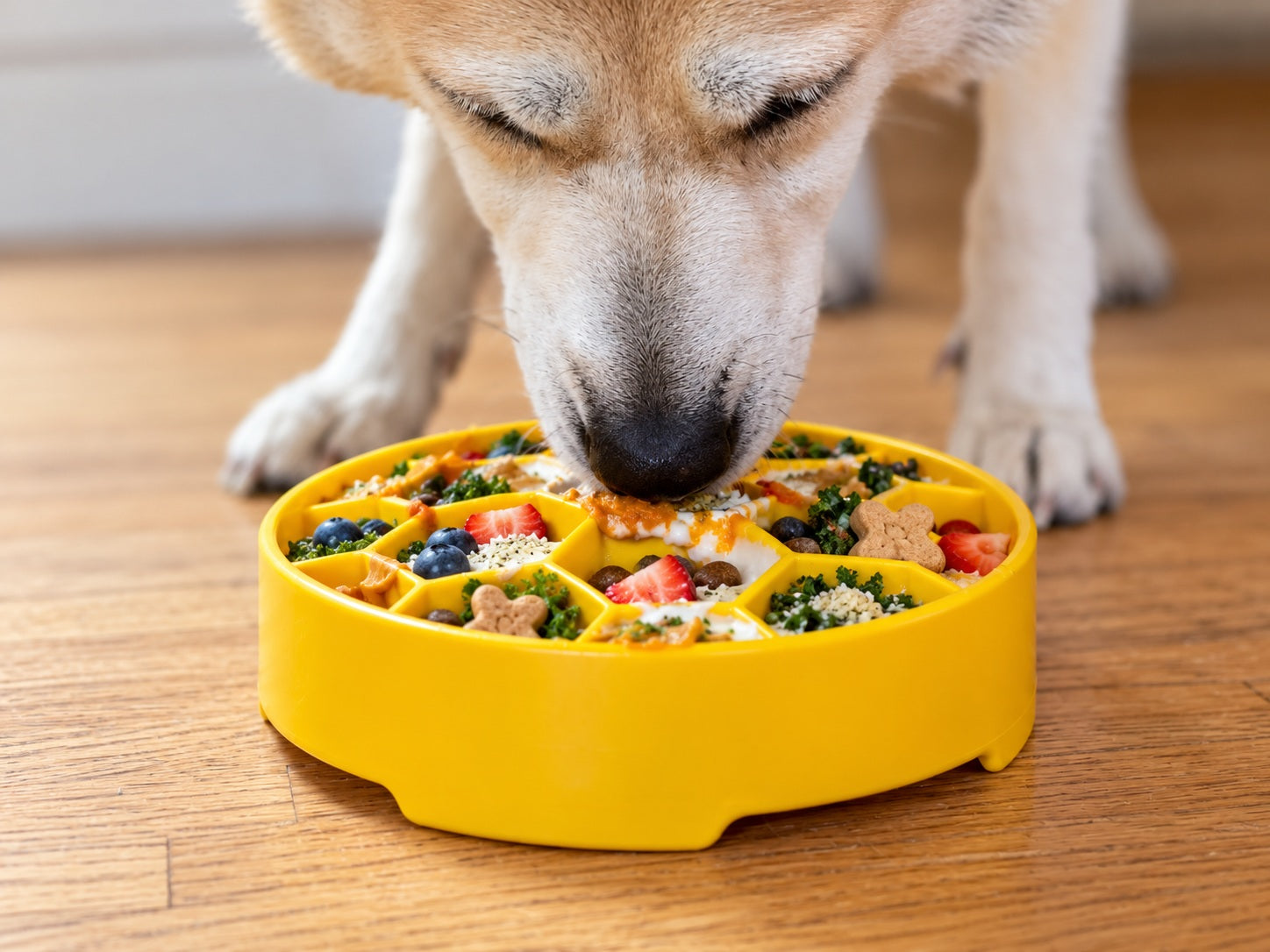 Honeycomb eBowl Deep Slow Feeder Dog Bowl for Enrichment | USA Made - Image 3