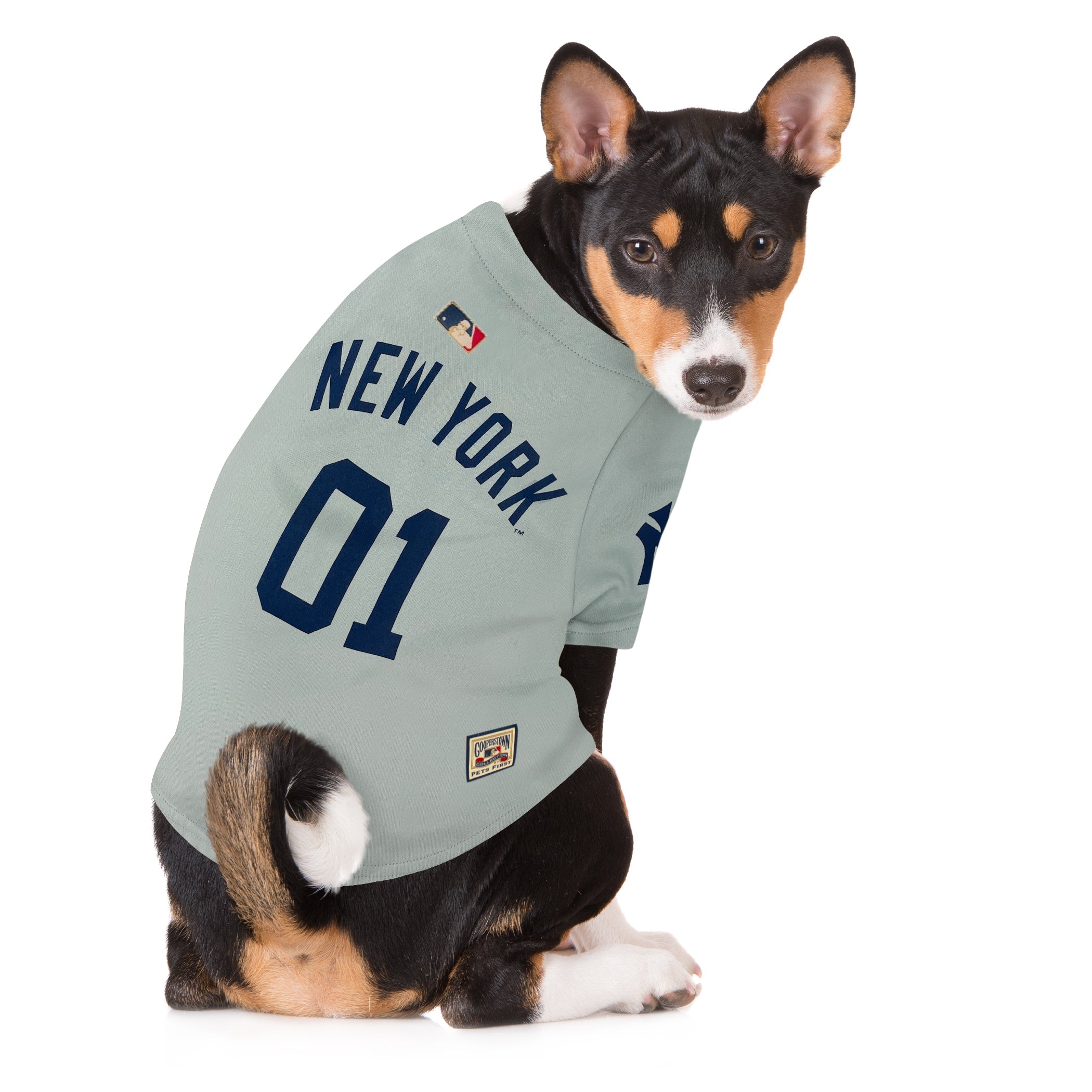 New York Yankees Throwback Jersey