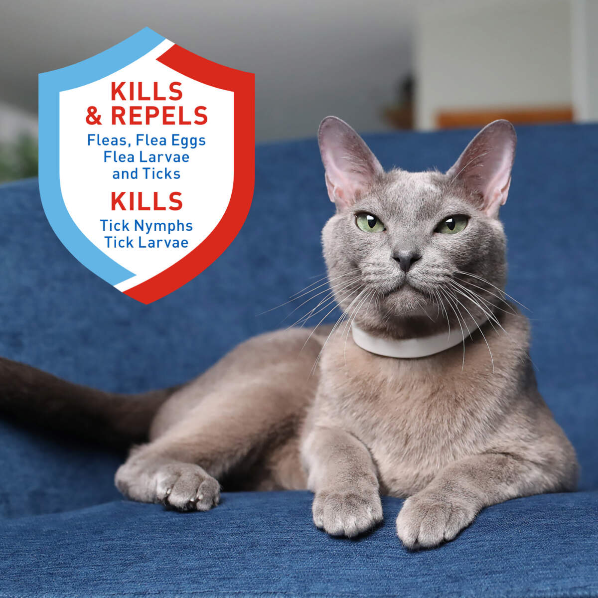 Adams Plus Flea & Tick Collar for Cats & Kittens - Image 9