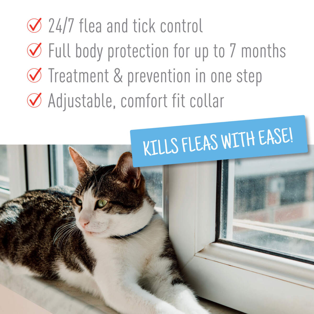 Adams Plus Flea & Tick Collar for Cats & Kittens - Image 5