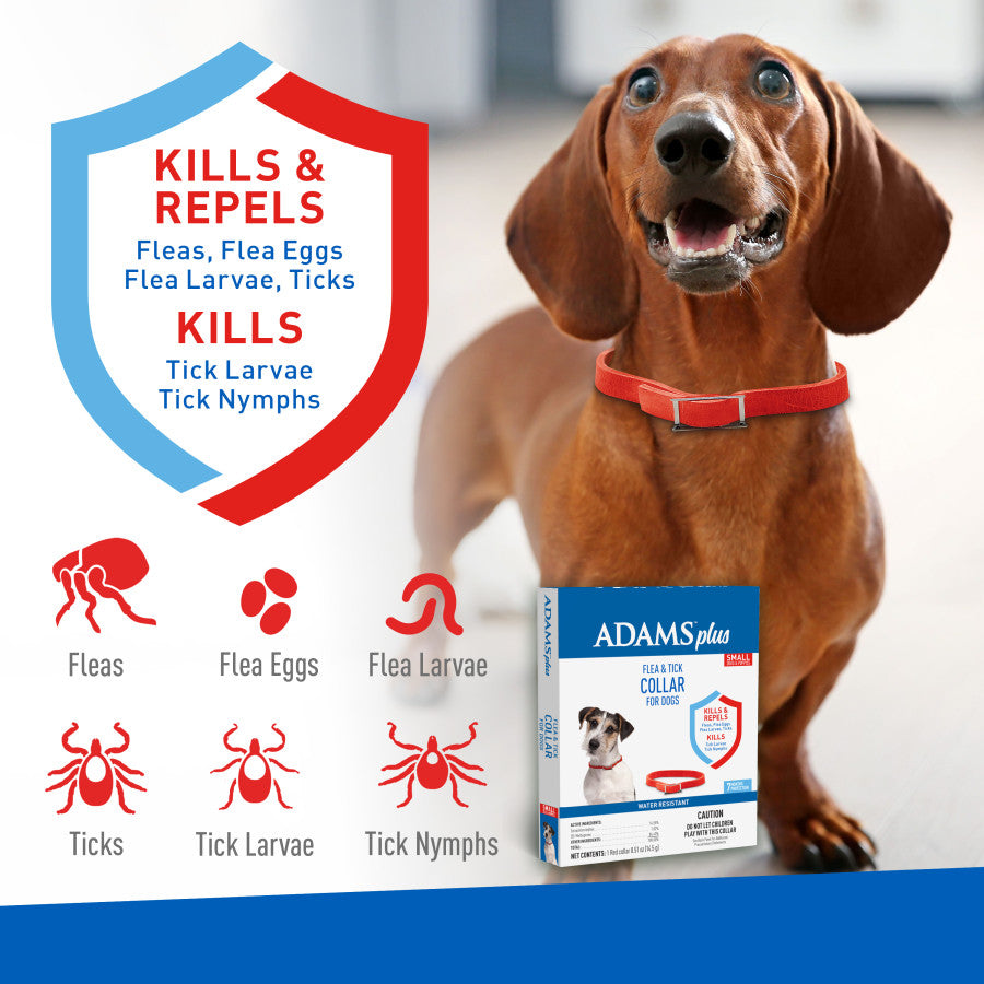 Adams Plus Flea & Tick Collar for Small Dogs - Image 6