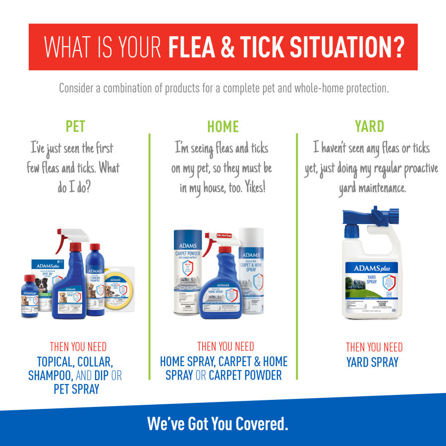 Adams Plus Flea & Tick Collar for Small Dogs - Image 3