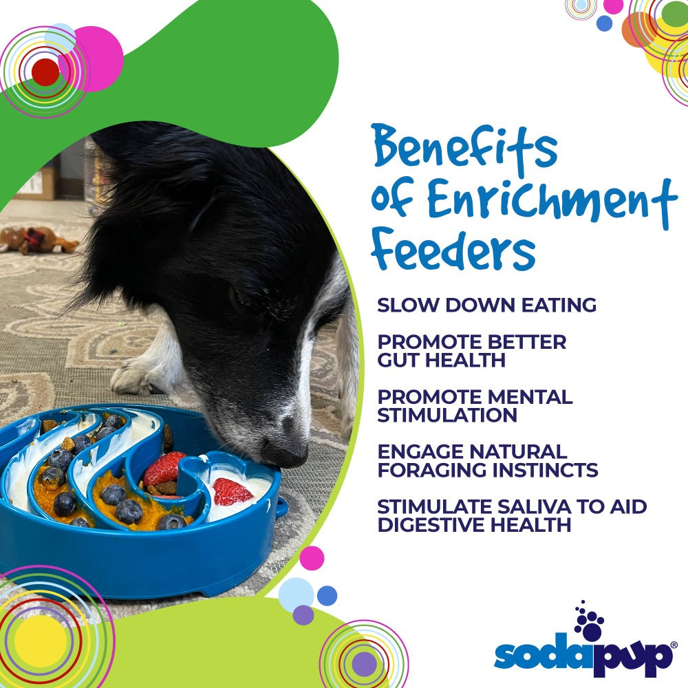 SodaPup Wave eBowl Deep Slow Feeder Dog Bowl Enrichment | Made USA