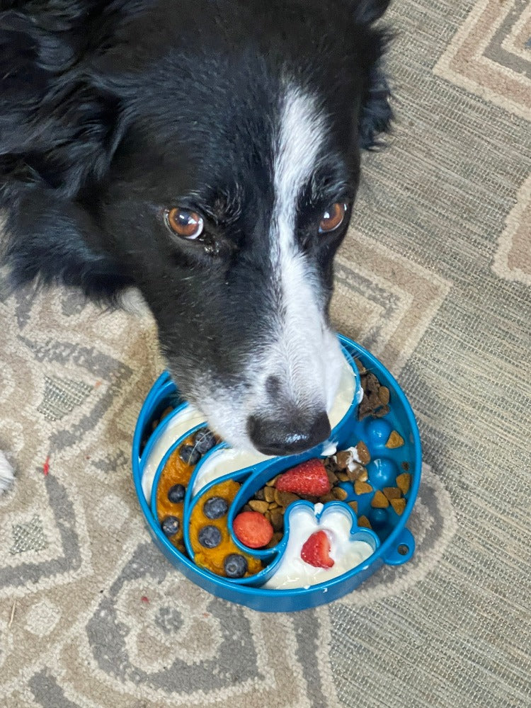 SodaPup Wave eBowl Deep Slow Feeder Dog Bowl Enrichment | Made USA