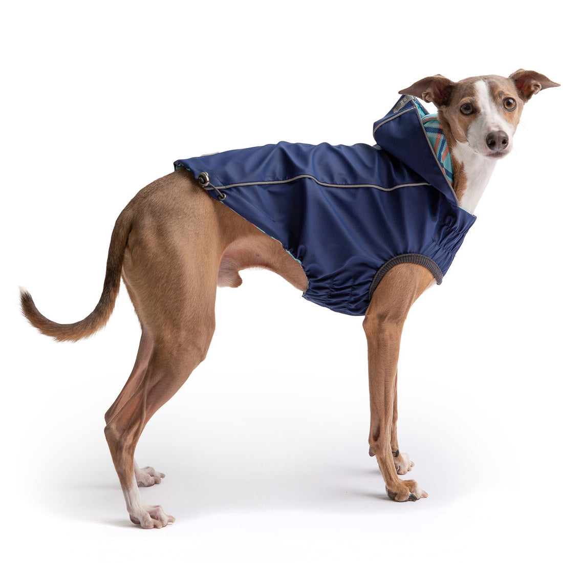 Reversible Elasto-Fit Raincoat - Navy - Image 4