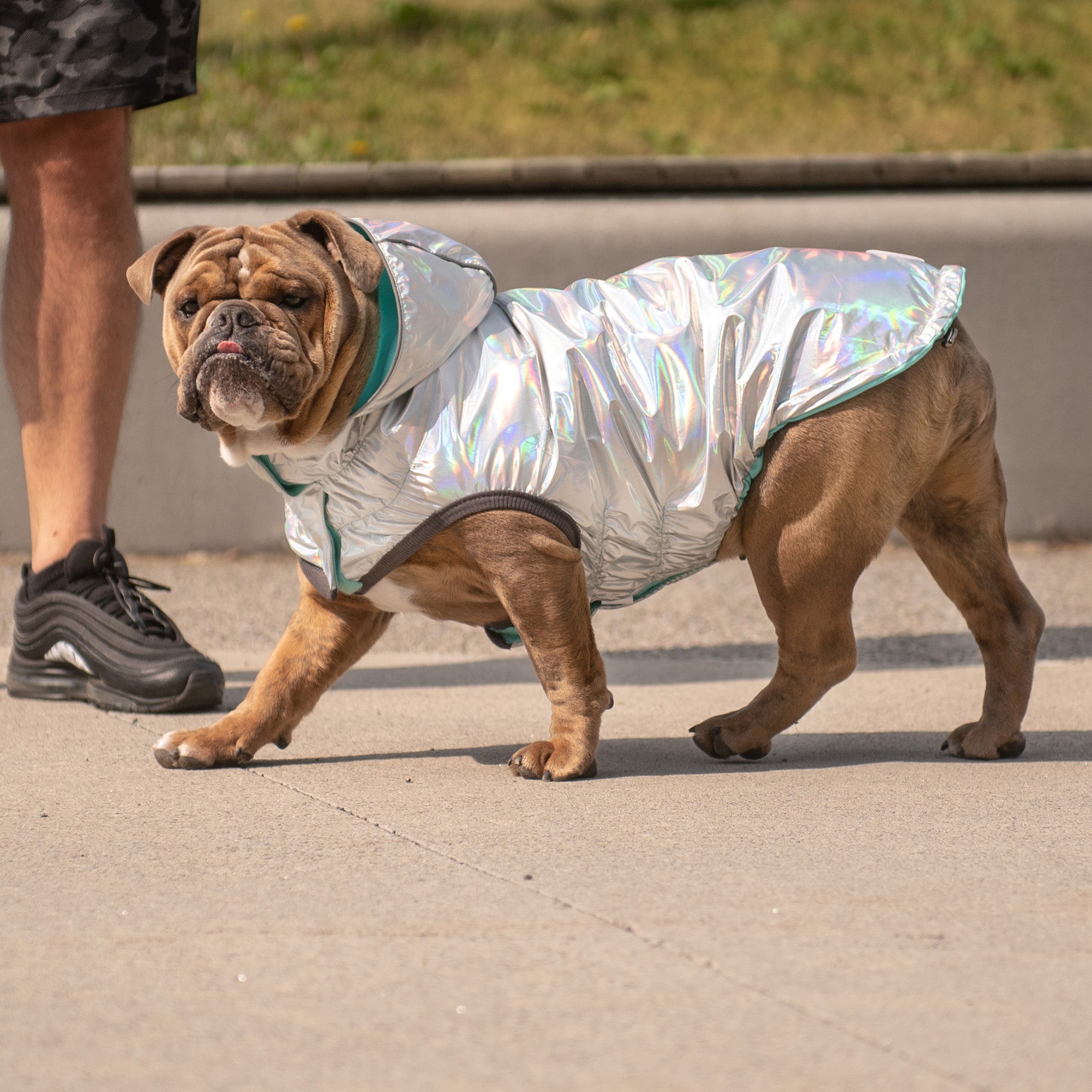 Reversible Raincoat - Neon Aqua with Iridescent - Image 6