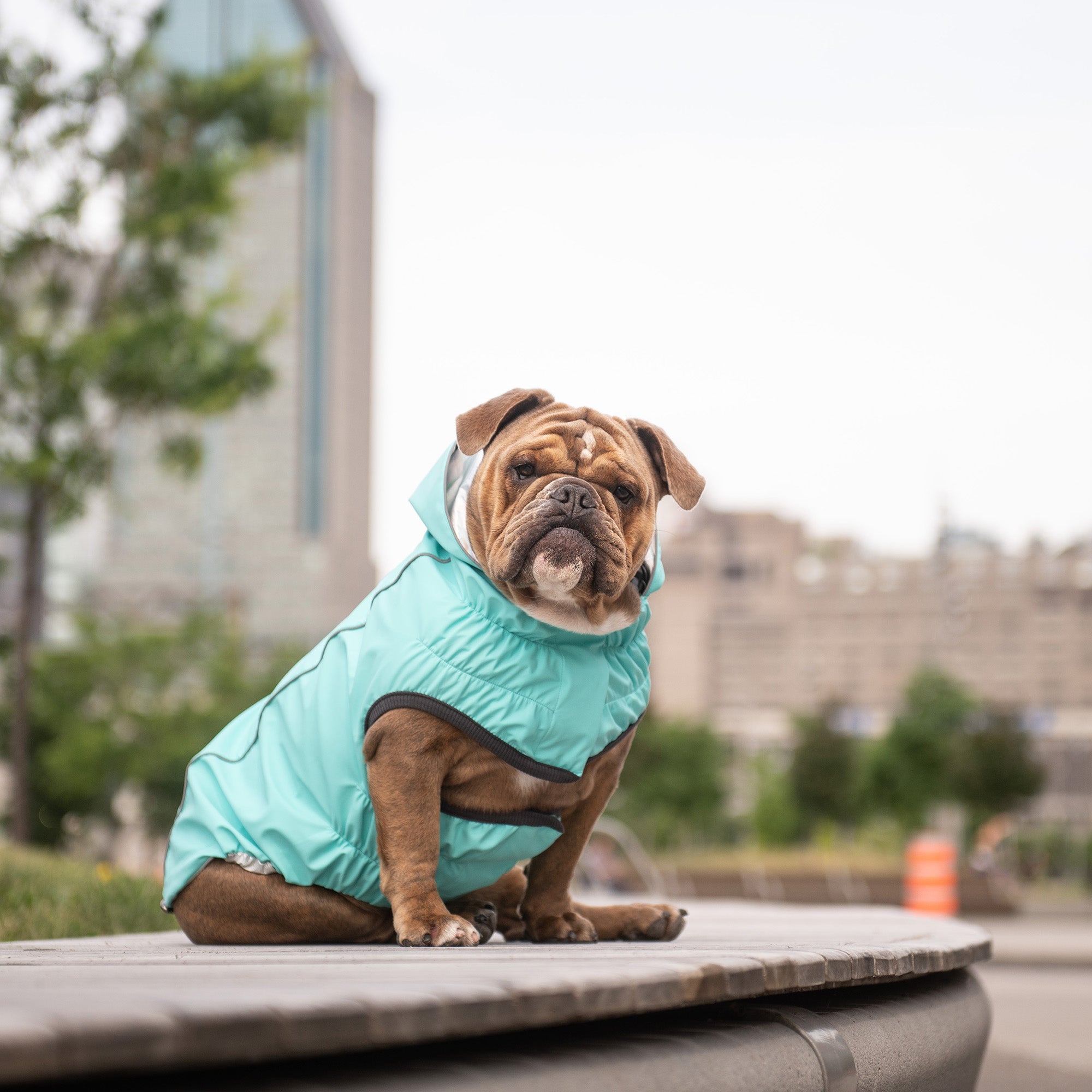 Reversible Raincoat - Neon Aqua with Iridescent - Image 5