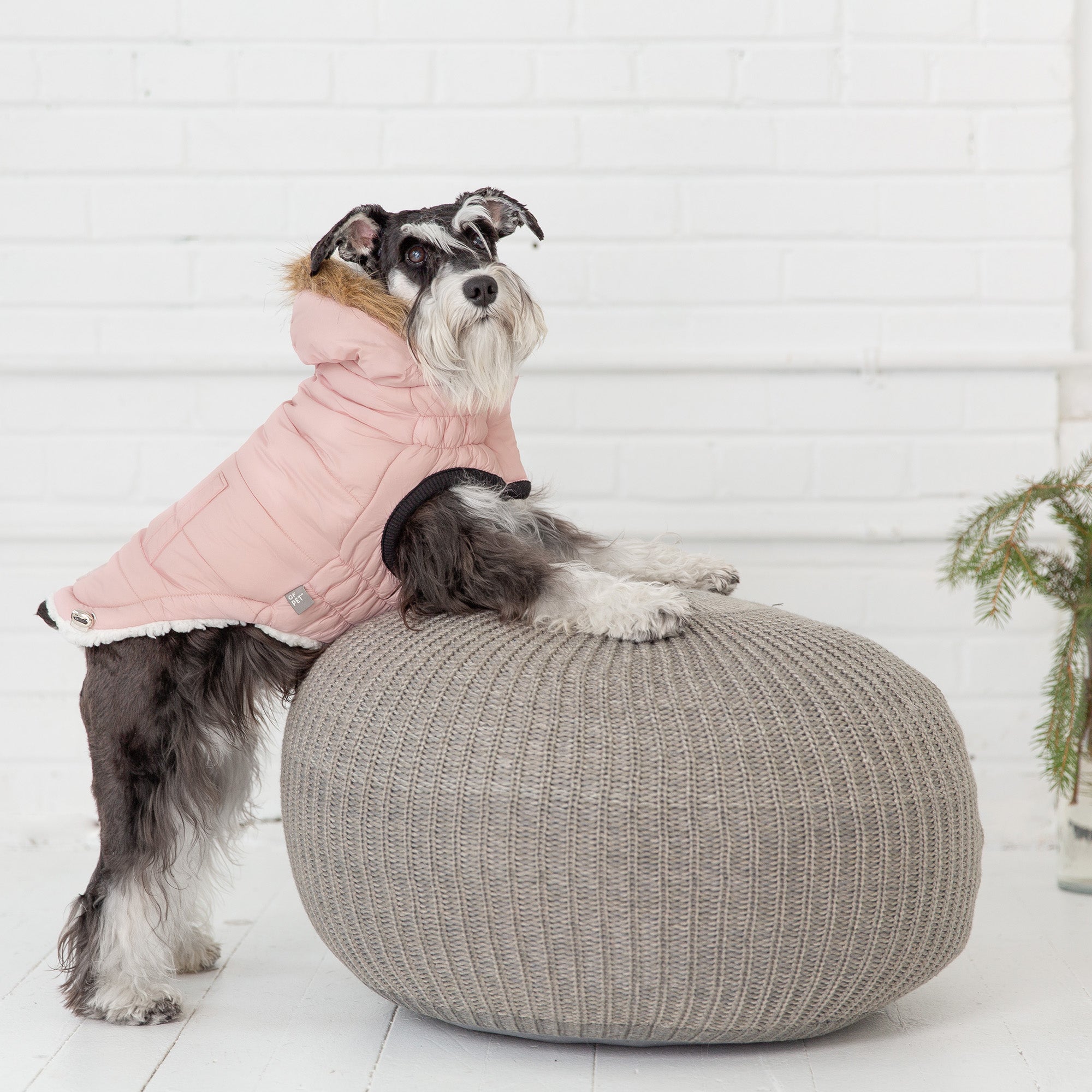 Urban Parka - Pink - Image 5