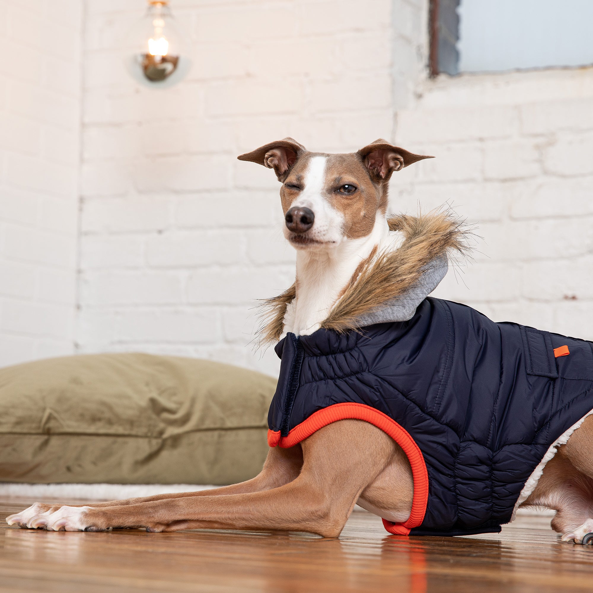 Winter Sailor Parka - Navy - Image 4