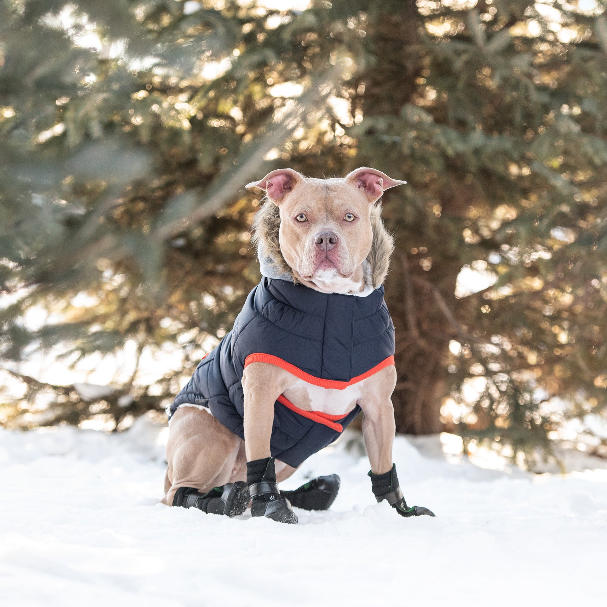 Winter Sailor Parka - Navy - Image 5