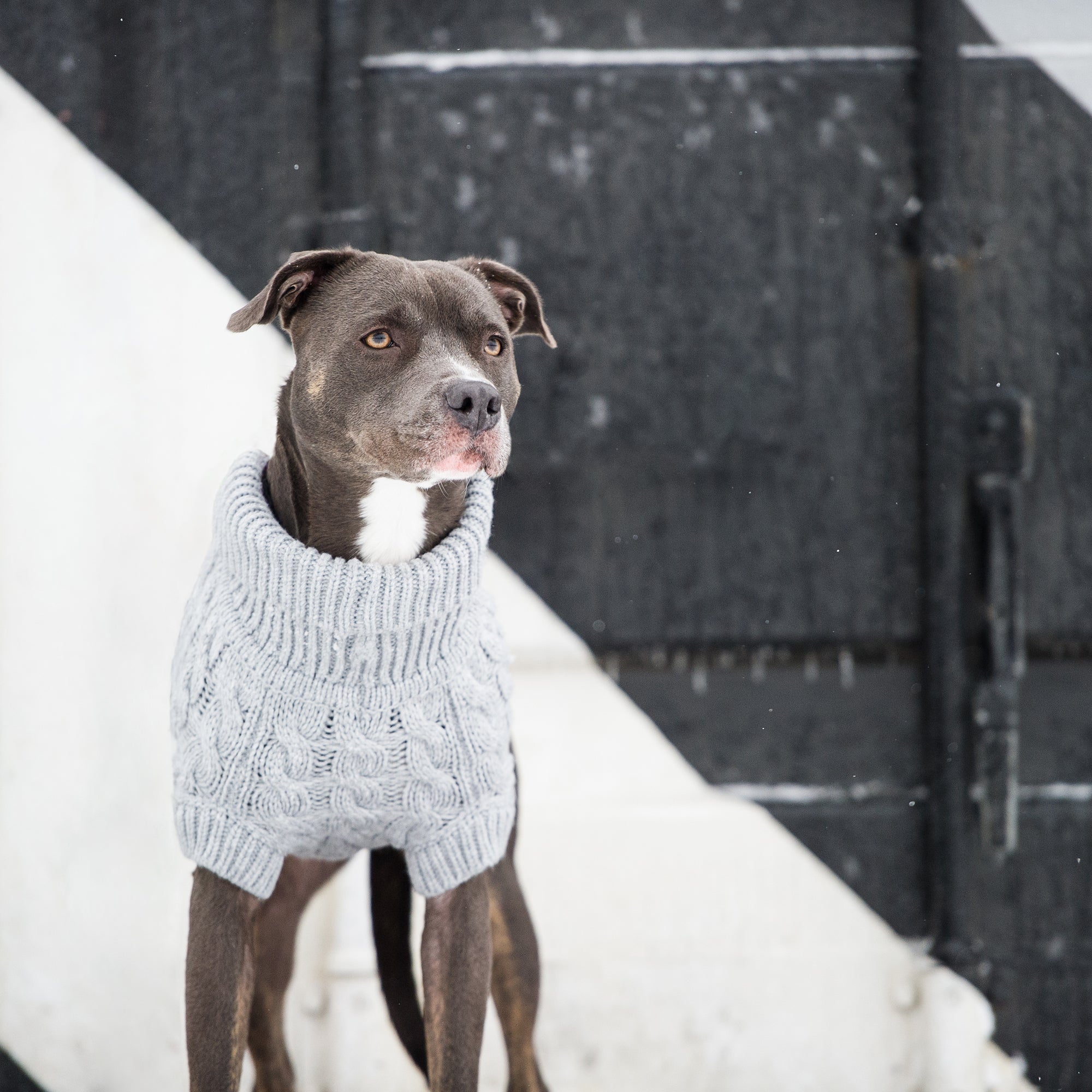 Chalet Sweater - Grey - Image 5