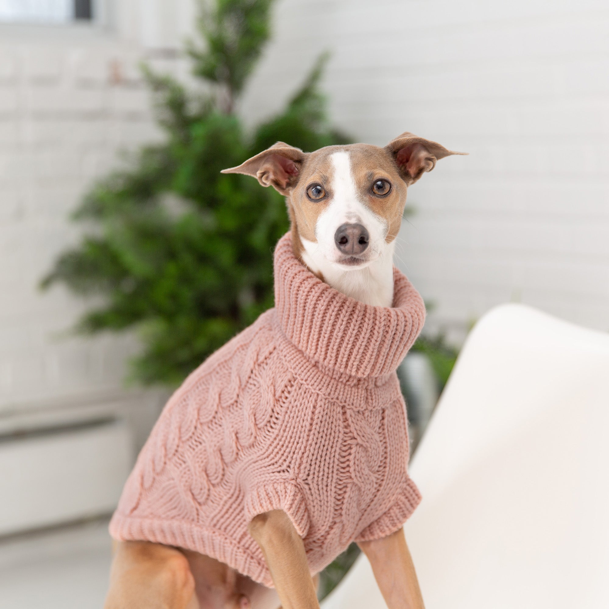 Chalet Sweater - Pink - Image 5