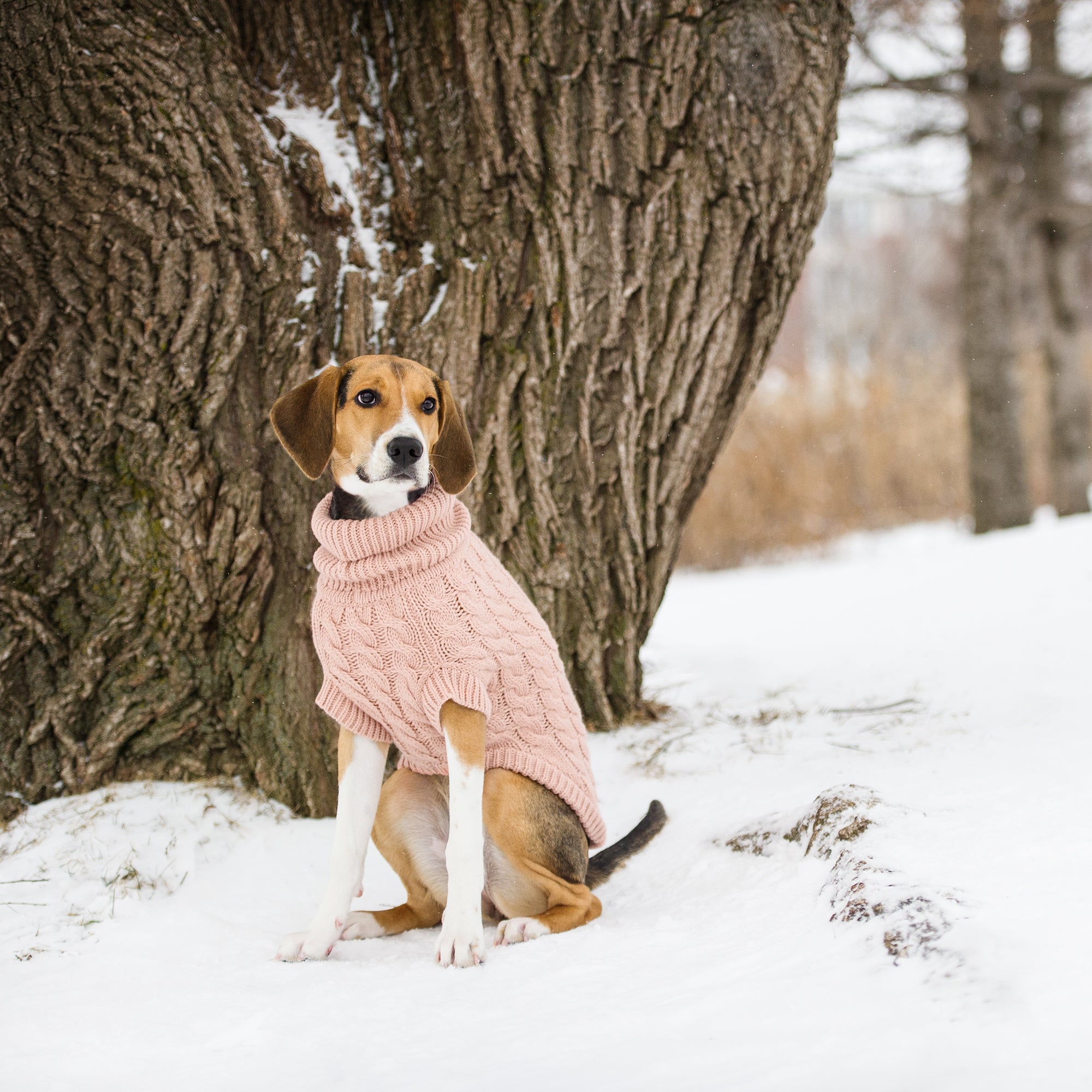 Chalet Sweater - Pink - Image 6
