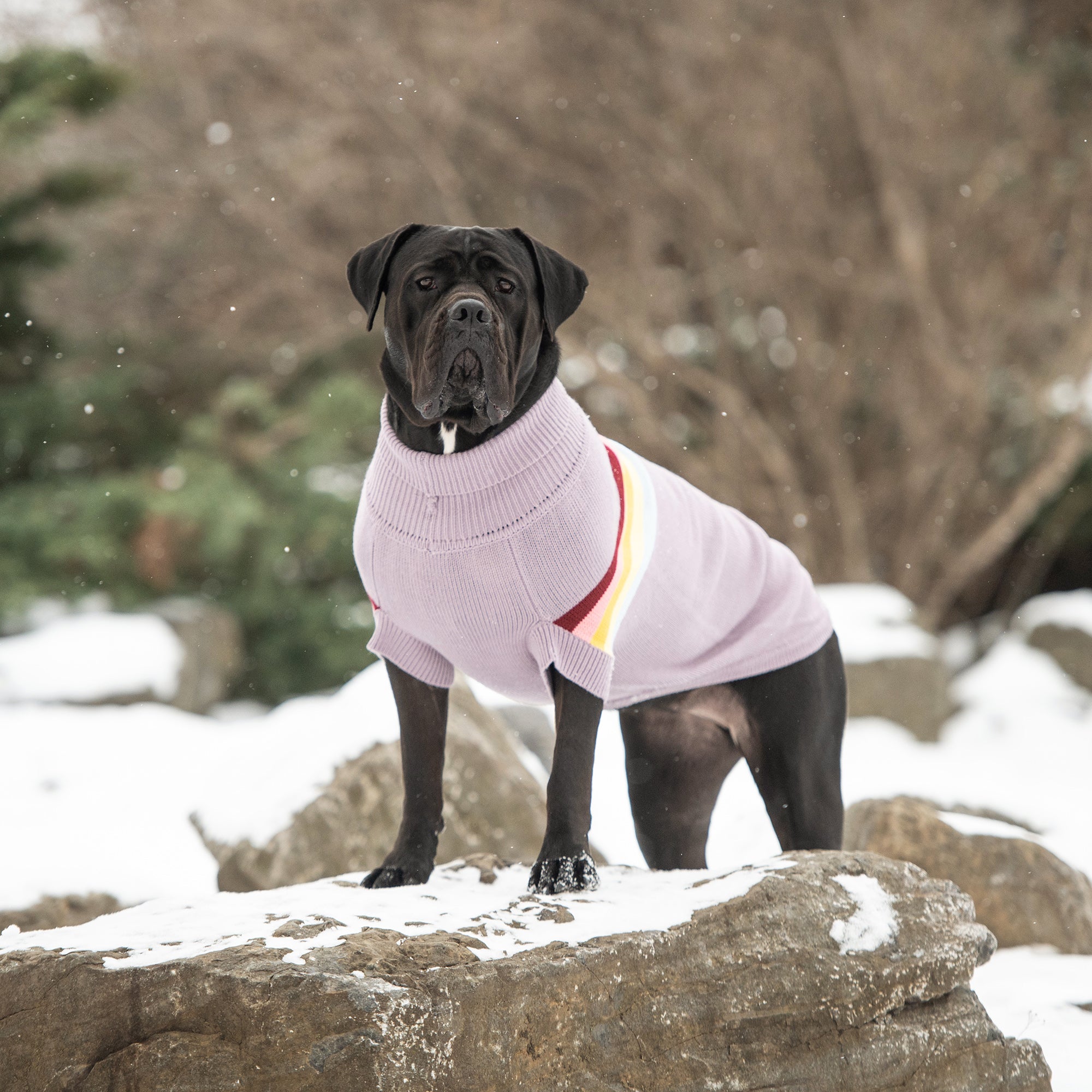 Retro Sweater - Lavender - Image 5