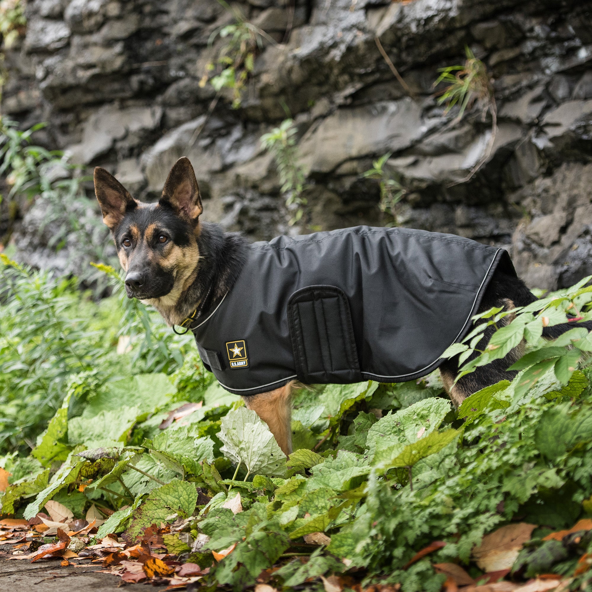 US Army Dog Blanket Jacket - Black - Image 4