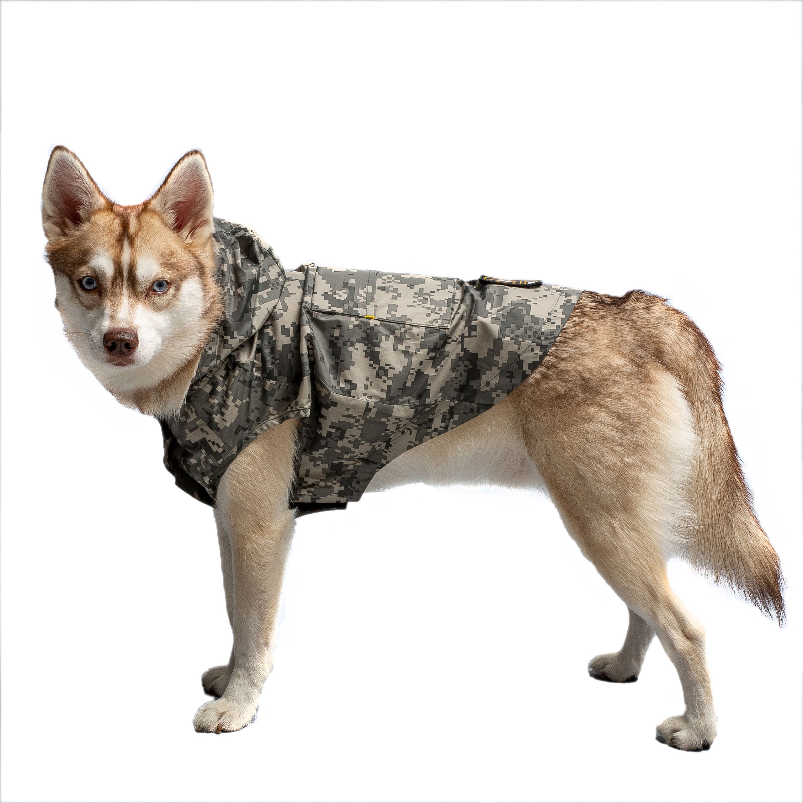 US Army Packable Dog Raincoat - Camo - Image 2