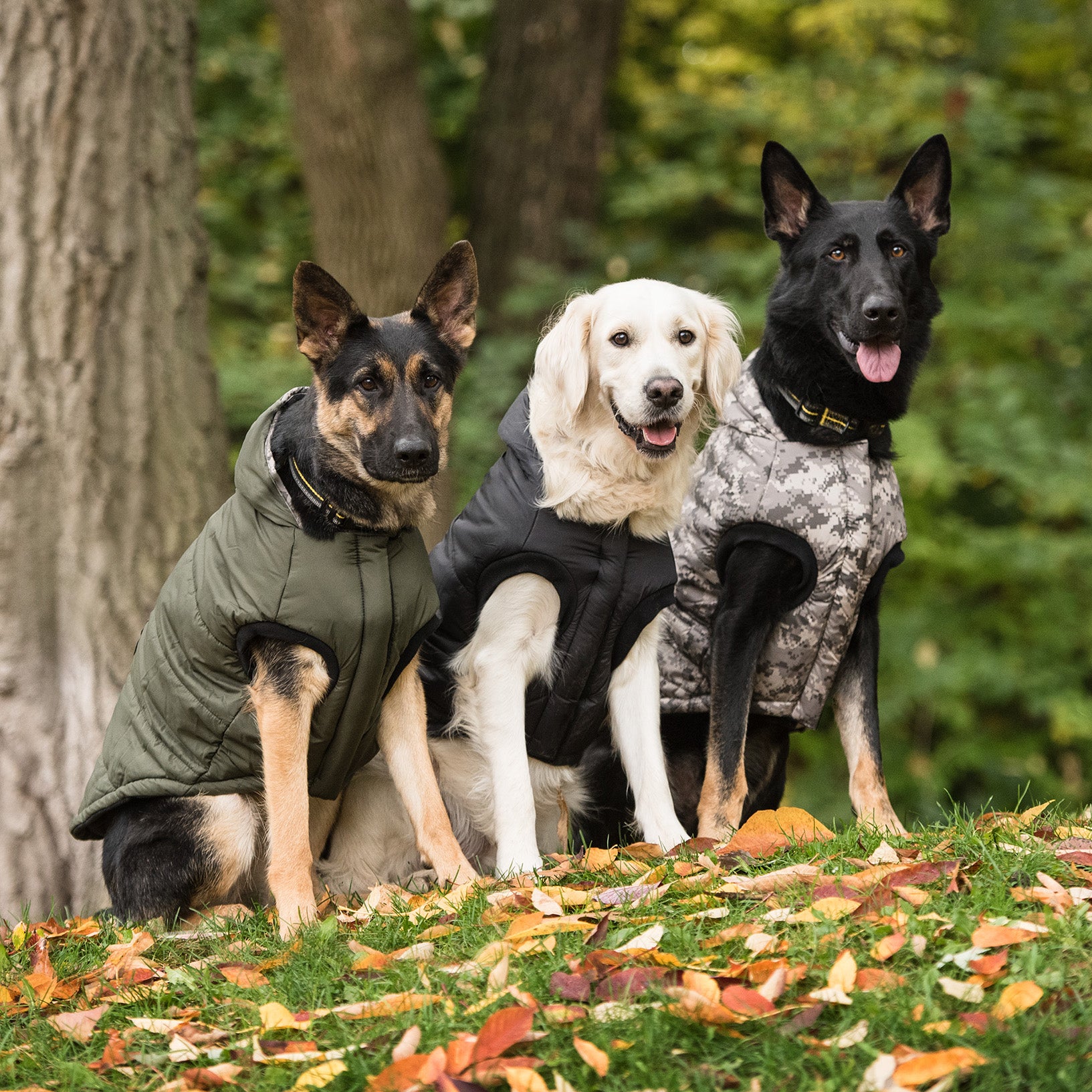 US Army Dog Parka - Dark Camo - Image 4