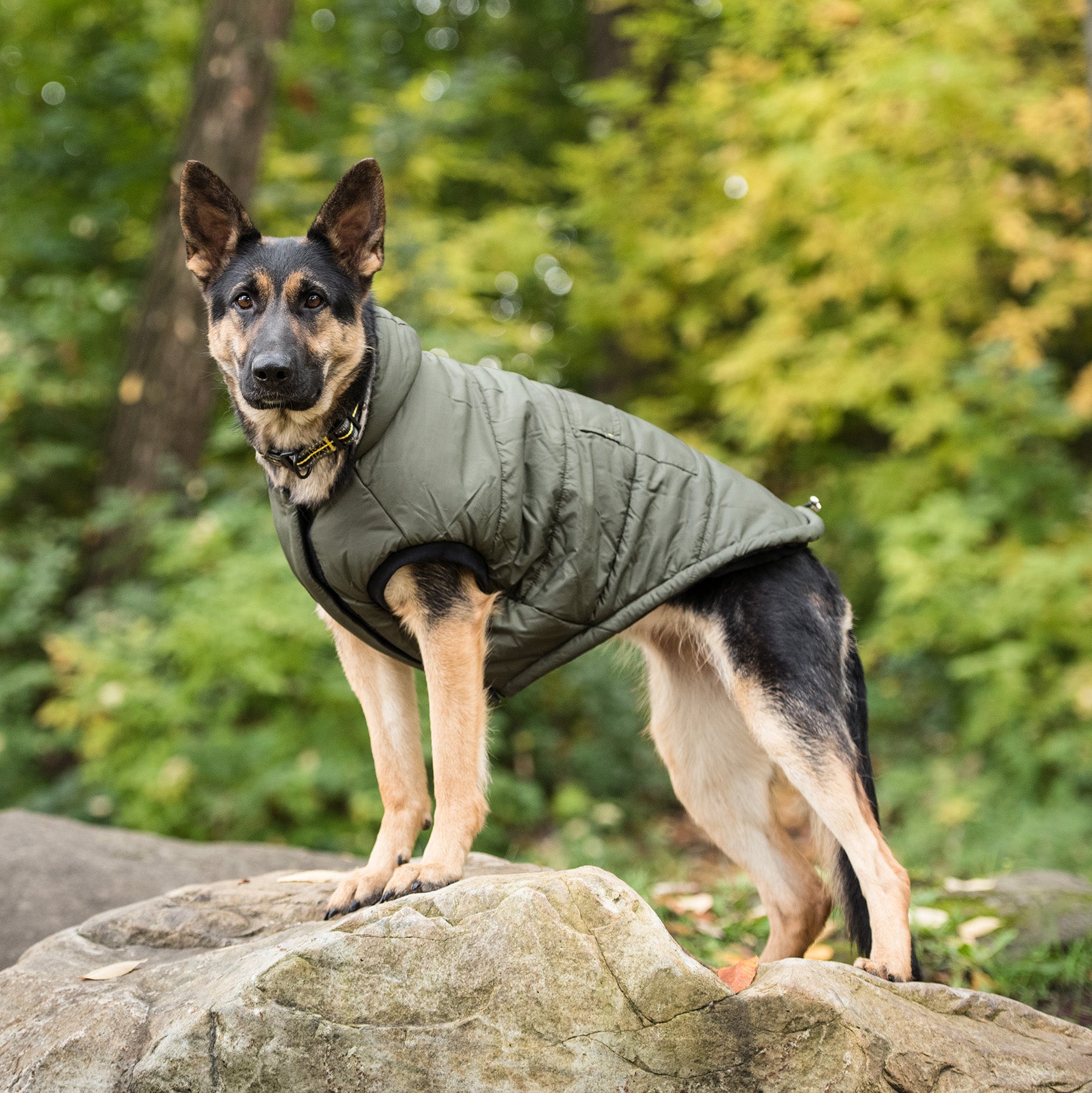 US Army Dog Parka - Dark Camo - Image 5