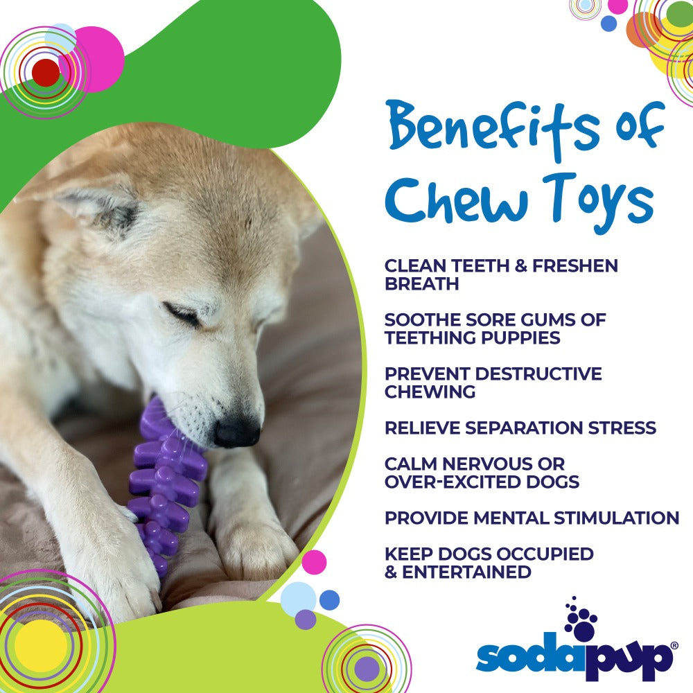 SodaPup Fish Bone Nylon Dog Toy Aggressive Chewers | USA Made