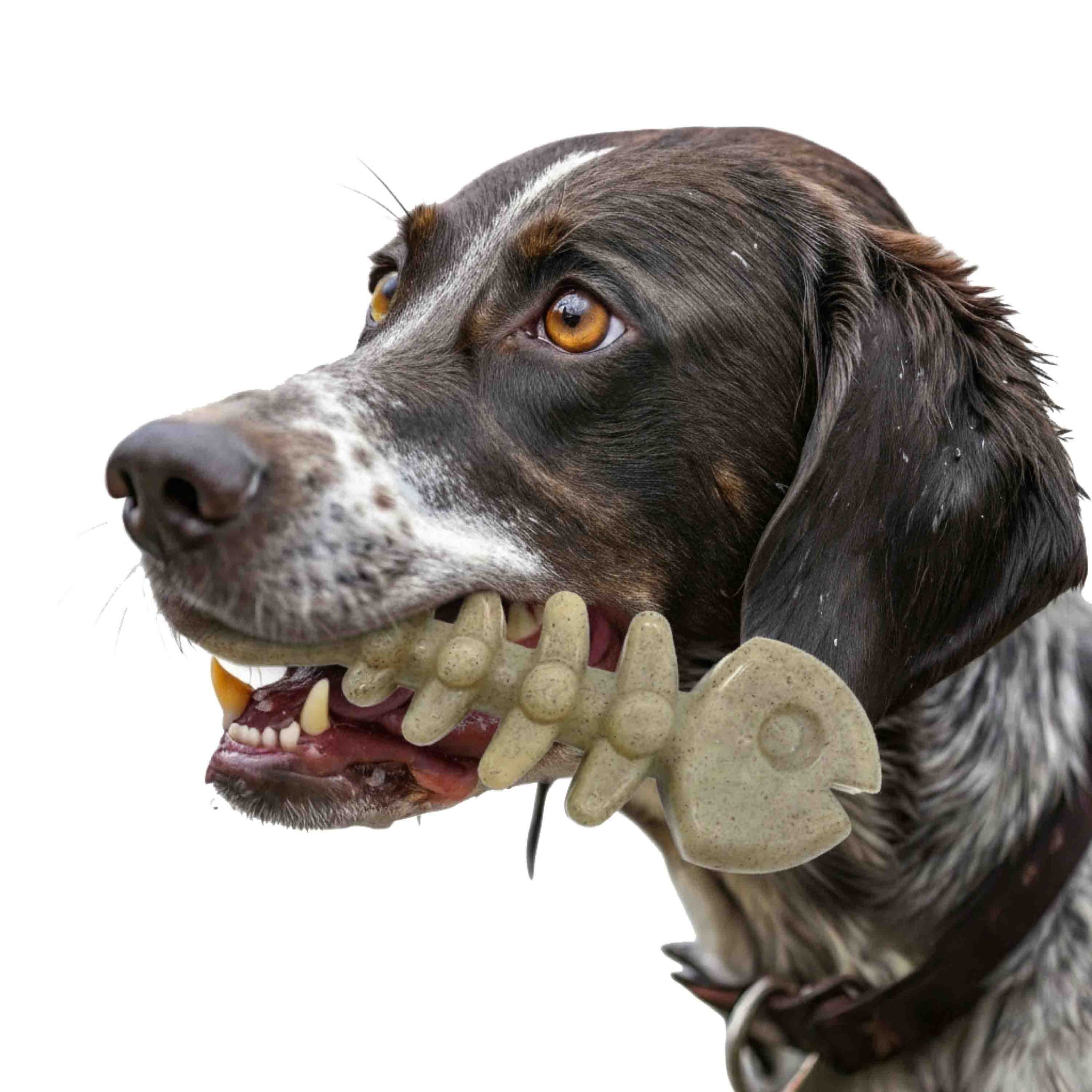 SodaPup Fish Bone Nylon Dog Toy Aggressive Chewers | USA Made