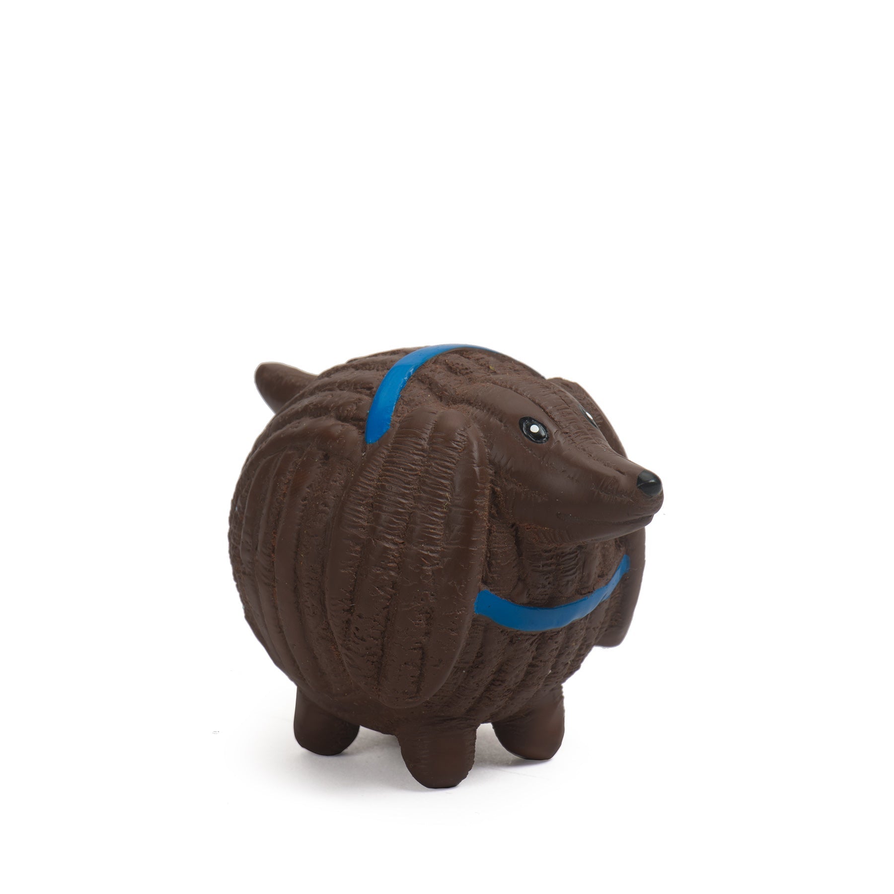Image of Wally the Dachshund taken slightly to the left. Wally has brown fur, and is wearing a blue collar.