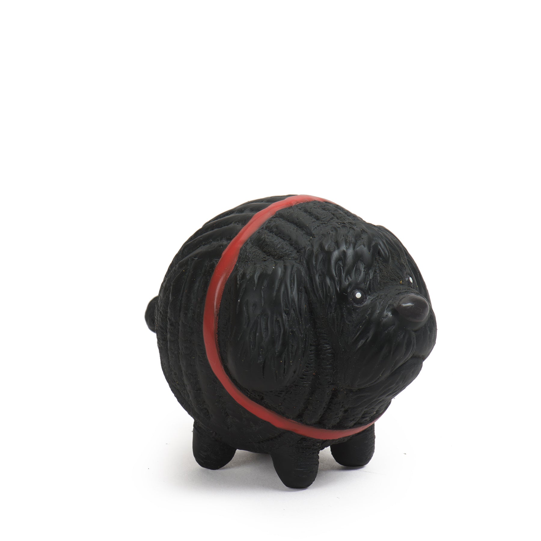 Image of Finbar the Cockapoo taken slightly to the left. Finbar has black fur, a black nose, and is wearing a red collar.