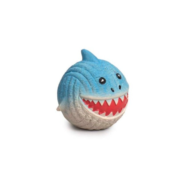 Image of Finn the Shark taken slightly to the left.