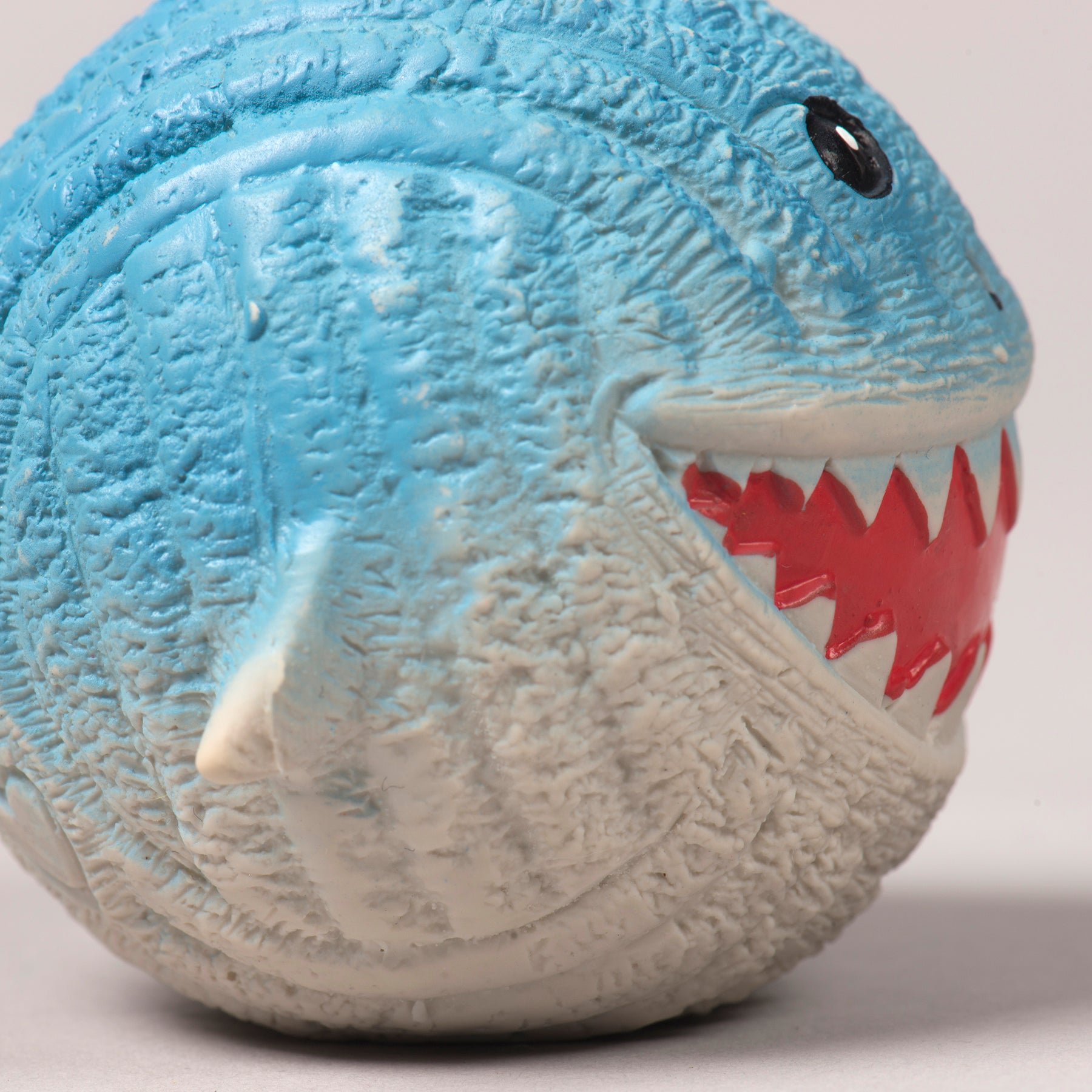 Close up image of Finn the shark, displaying the right side of Finn.