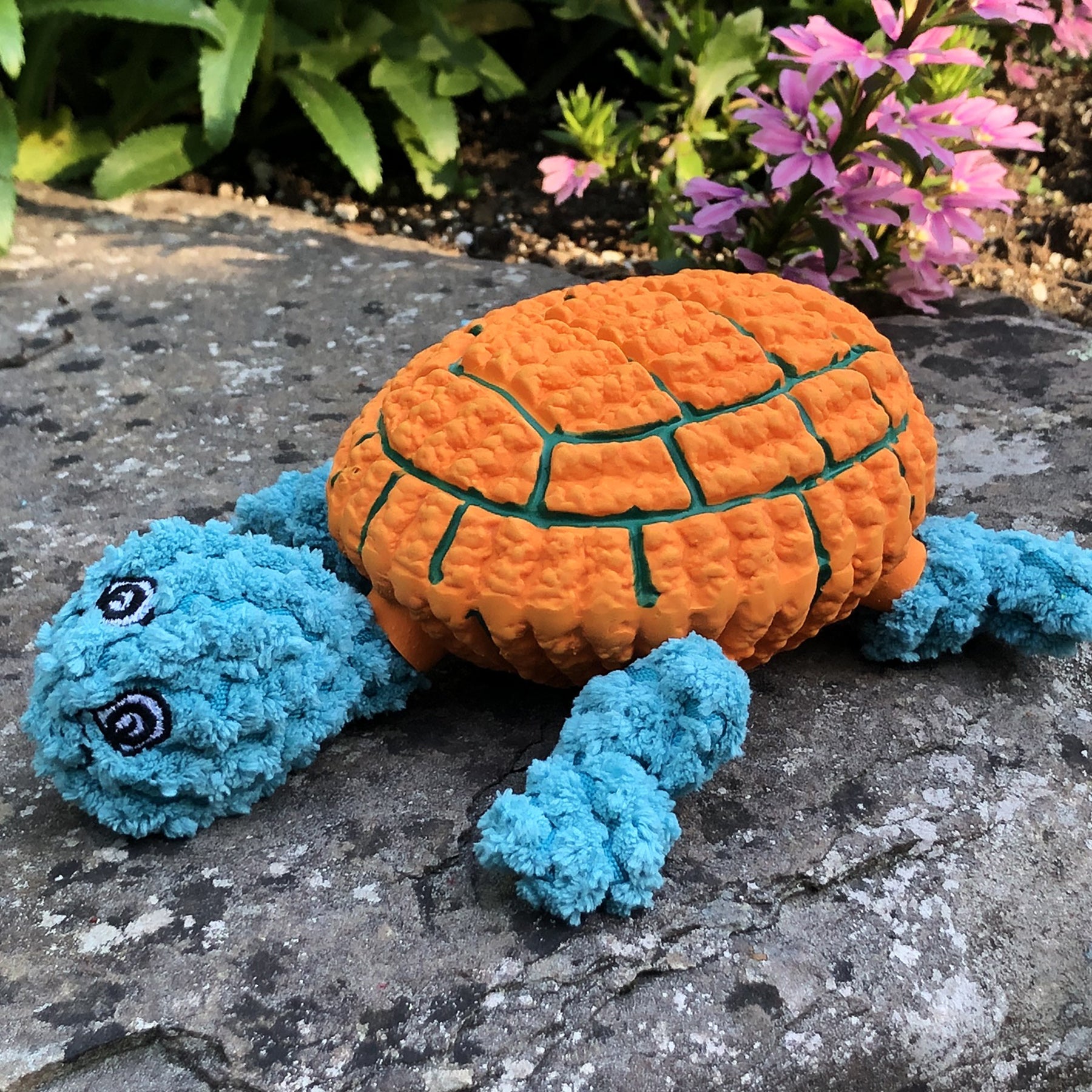 Lifestyle image of Dude Turtle. The turtle is laying down on a rock slab, with leaves and bushes in the background.