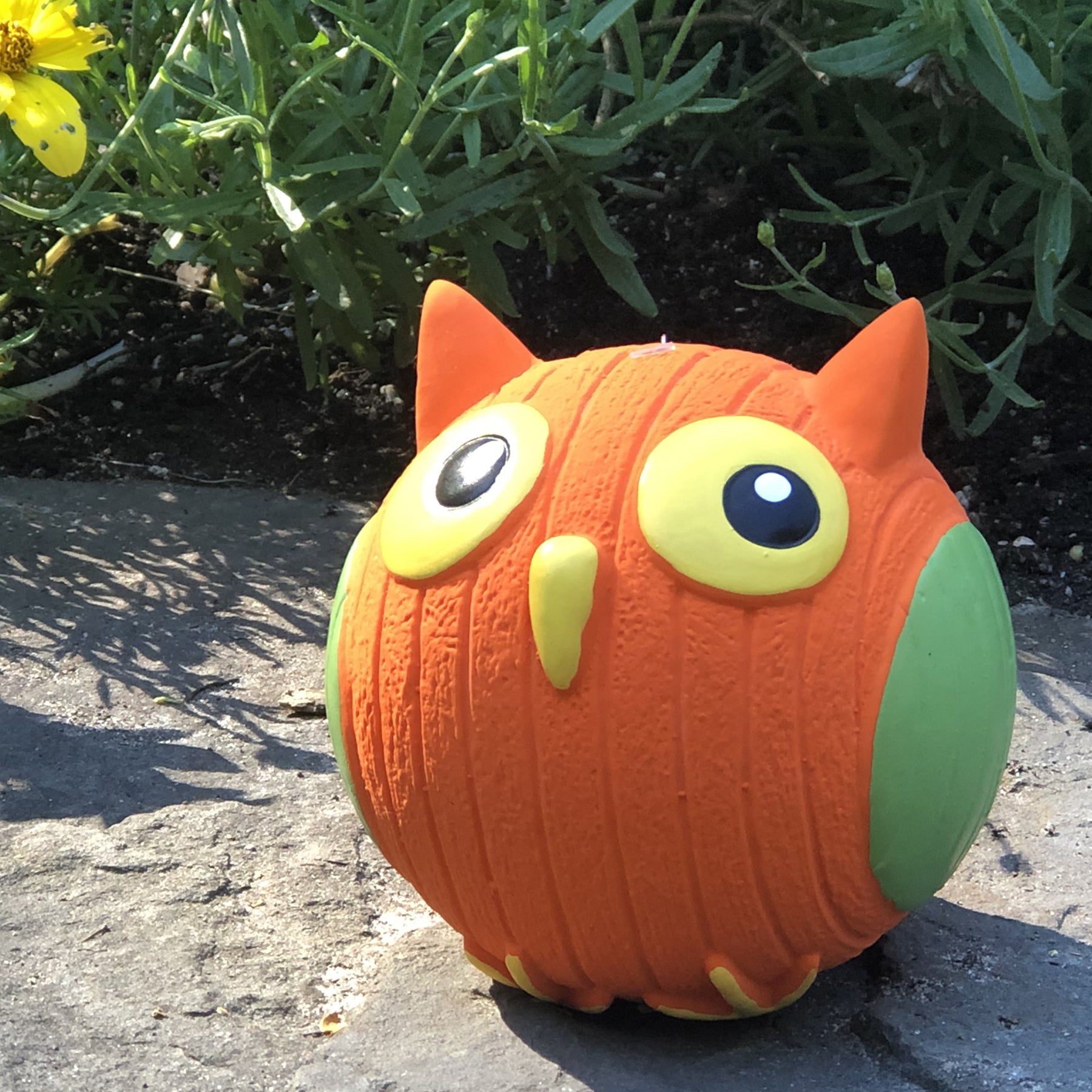 Lifestyle image of Poppy the Owl. Poppy is sitting on a stone slab with leaves and bushes behind him.