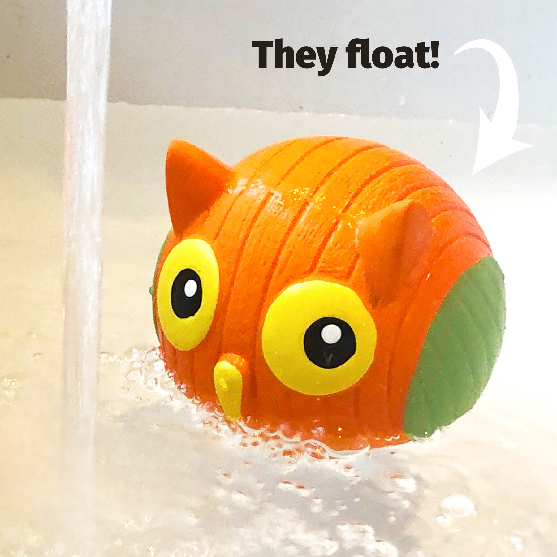Image of bird Ruff Tex floating on water inside of a bath tub.