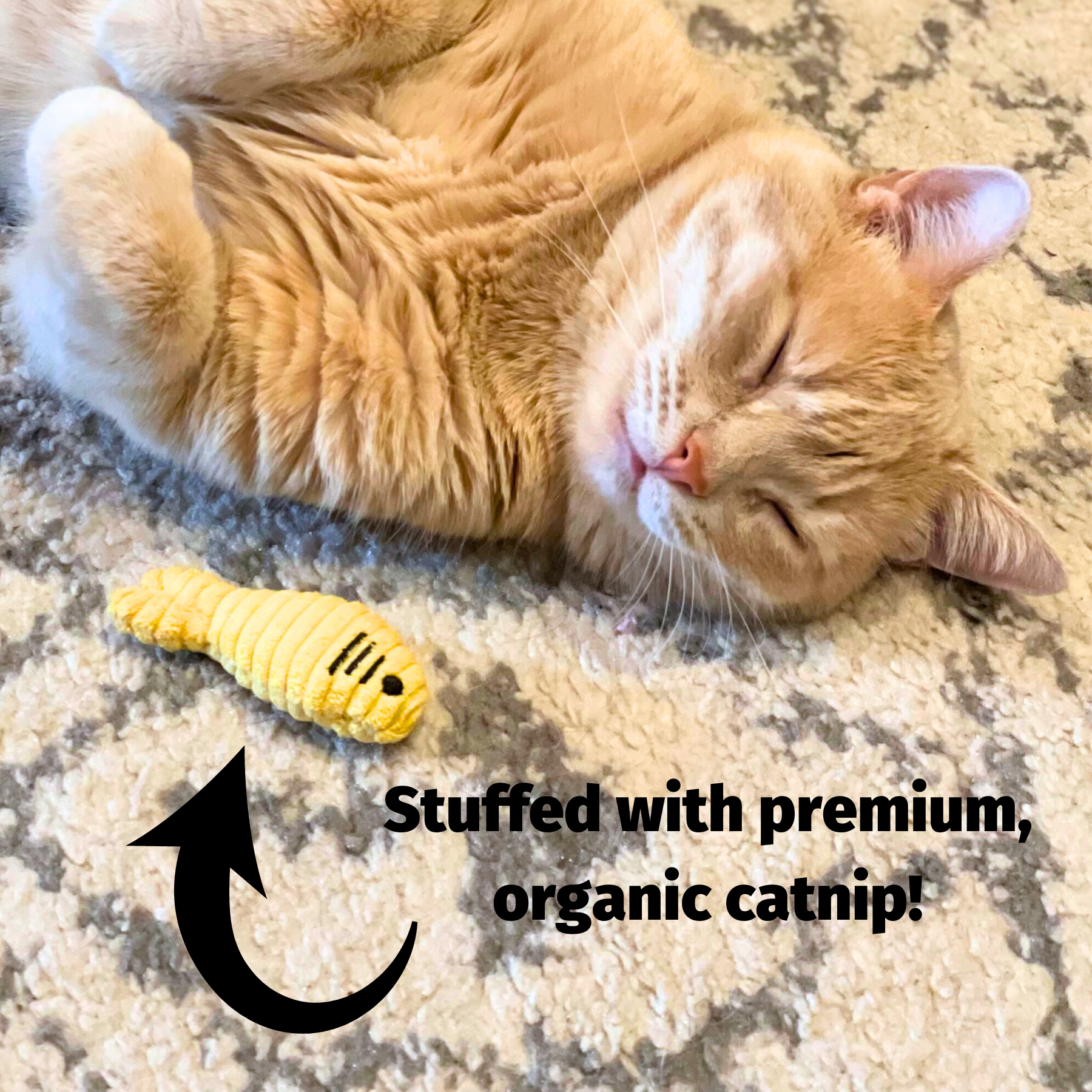 HuggleKats® Jellie Fish Cat Toys (3pk) - Image 12
