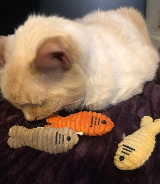 HuggleKats® Sardinies Cat Toys (3pk) - Image 7