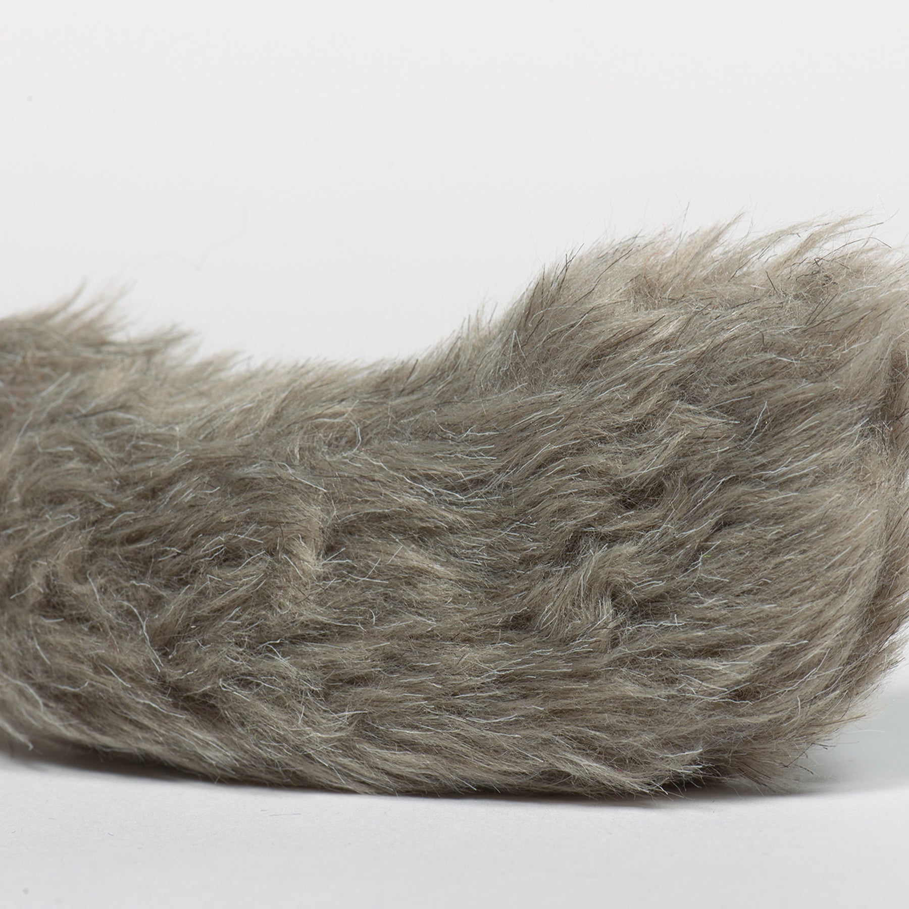 Close up image of the Feller Squirrel furry gray tail.