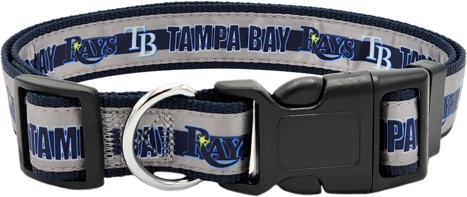 TAMPA BAY RAYS SATIN COLLAR