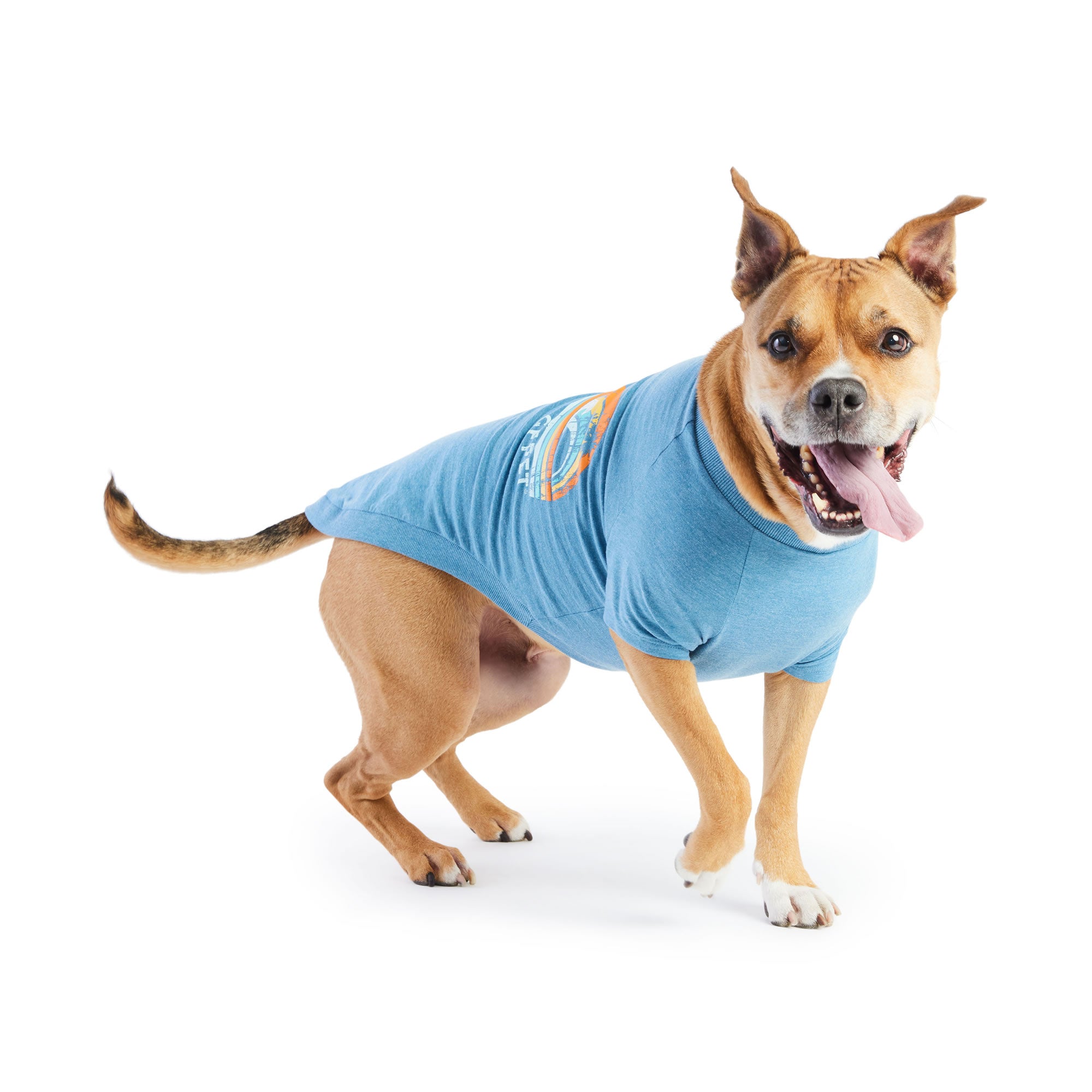 Graphic Tee - Blue - Image 4