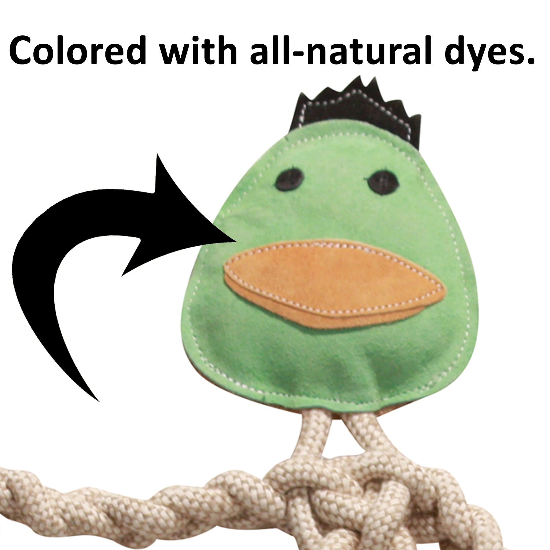 Image of an arrow pointing at the green ducks face, with text sayin "Colored with all-natural dyes".