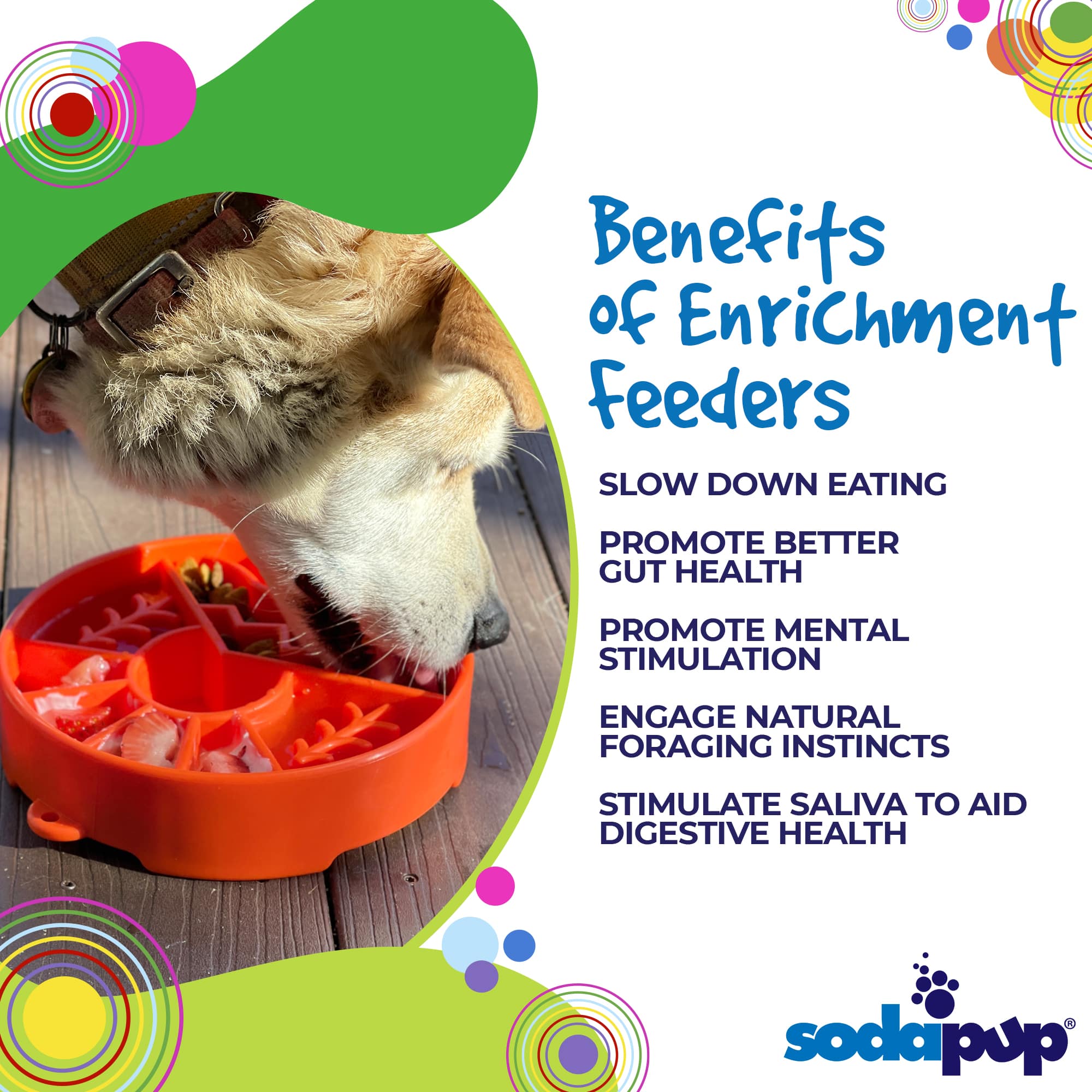 SodaPup Great Outdoors eBowl Slow Feeder Dog Bowl & Enrichment | USA Made