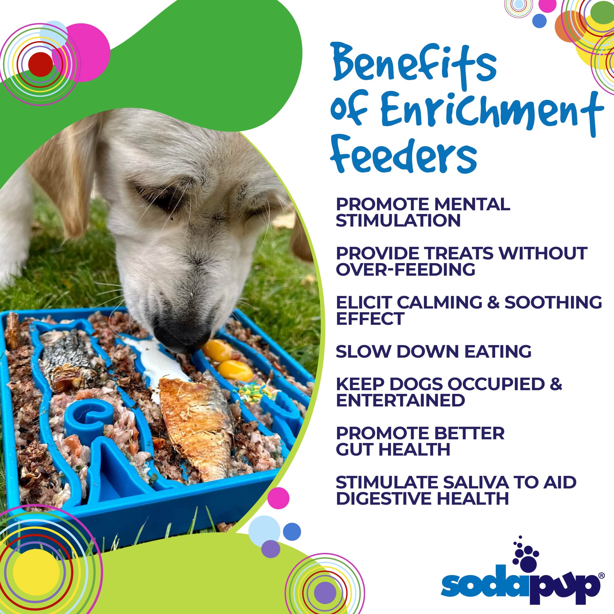 SodaPup Waiting Dogs eTray Shallow Slow Feeder Bowl Enrichment | USA Made