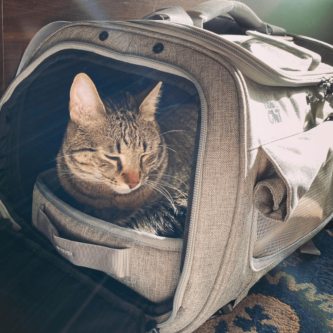 "The Transpurrter" Ultimate Calming Convertible Cat Carrier in Heather Grey and Teal - Image 9