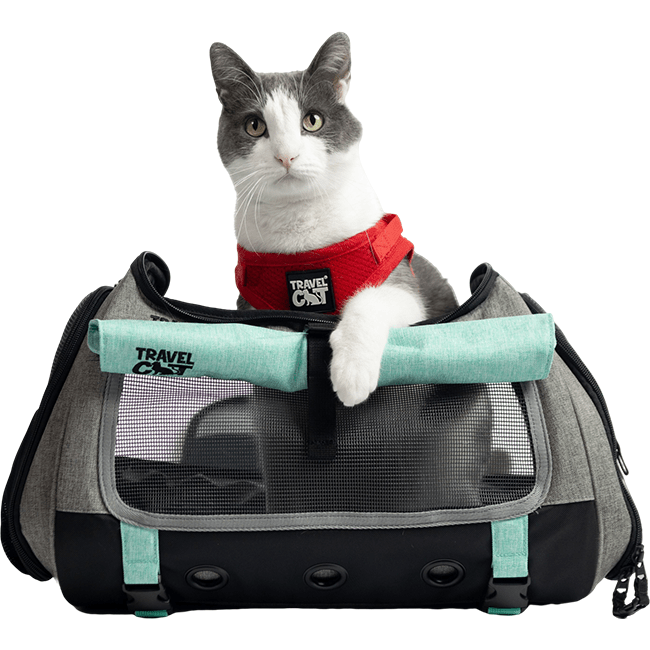 "The Transpurrter" Ultimate Calming Convertible Cat Carrier in Heather Grey and Teal - Image 17