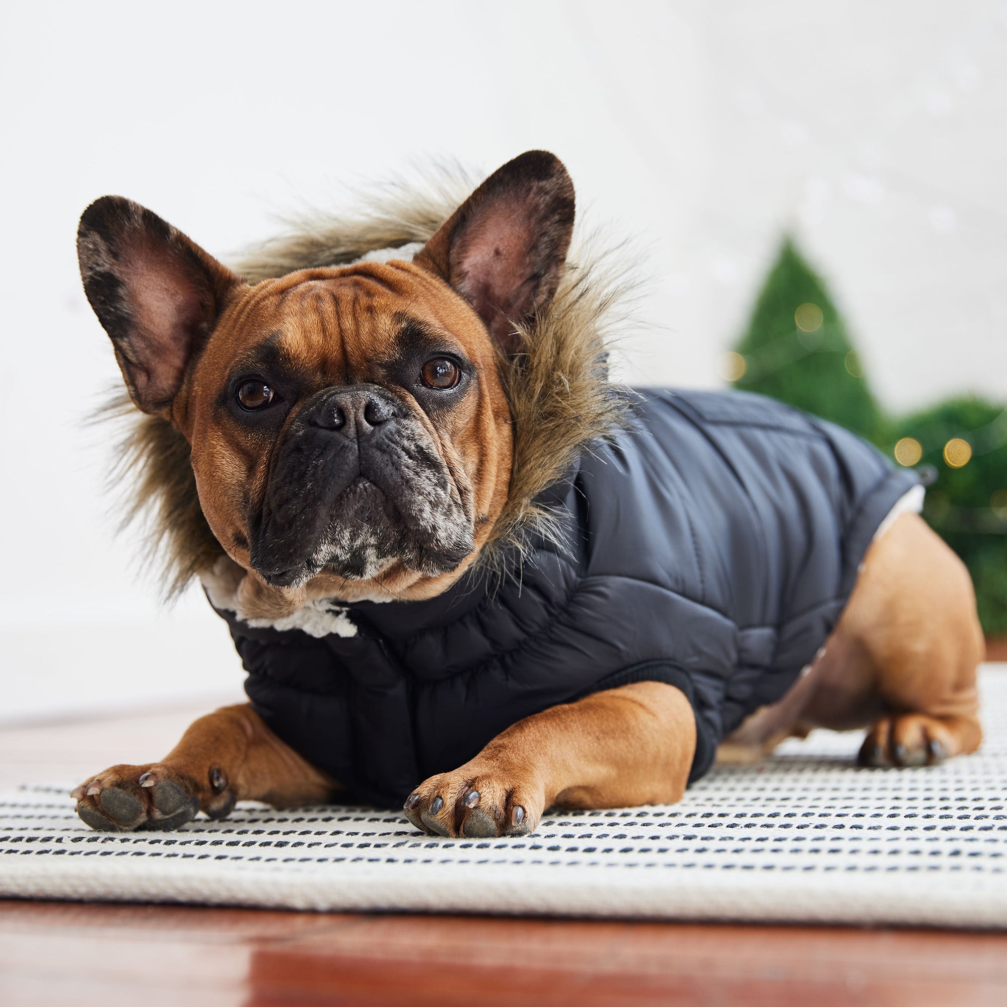 Urban Parka - Black - Image 4